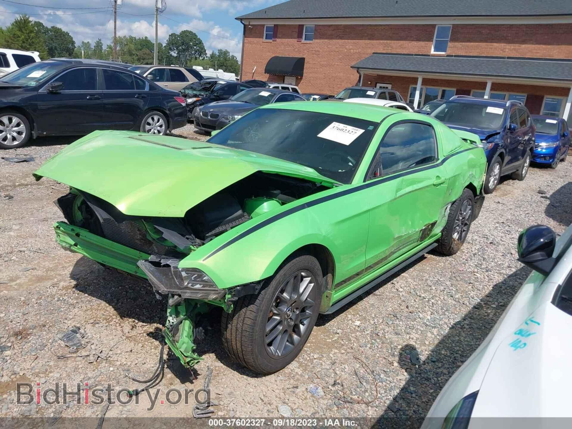 2013 FORD MUSTANG - VIN: 1ZVBP8AM2D5263097 - Фото 2