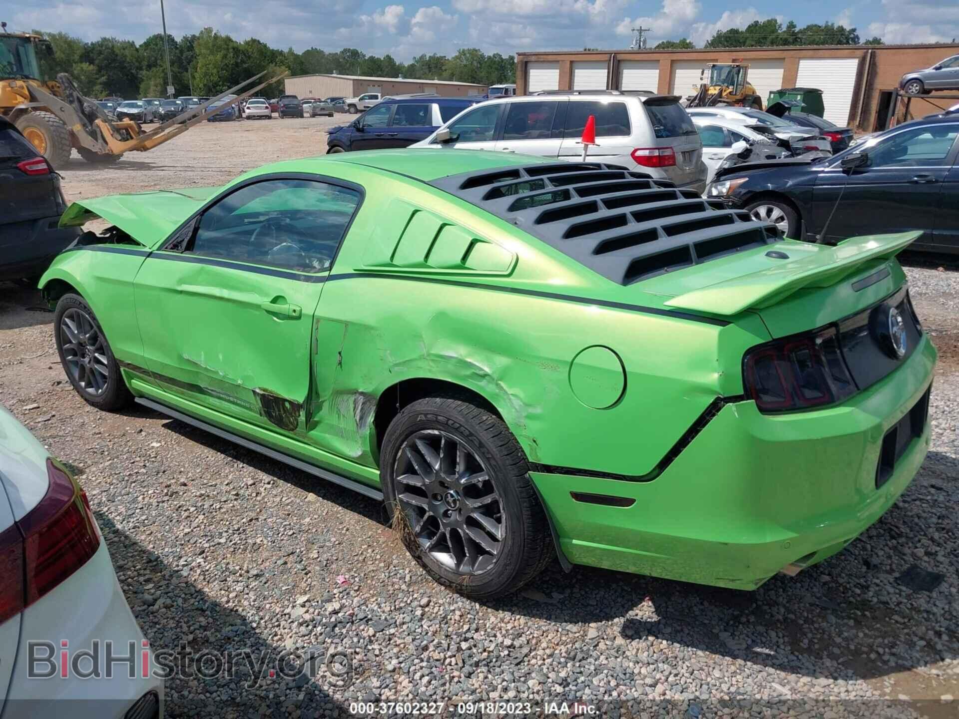 2013 FORD MUSTANG - VIN: 1ZVBP8AM2D5263097 - Фото 3