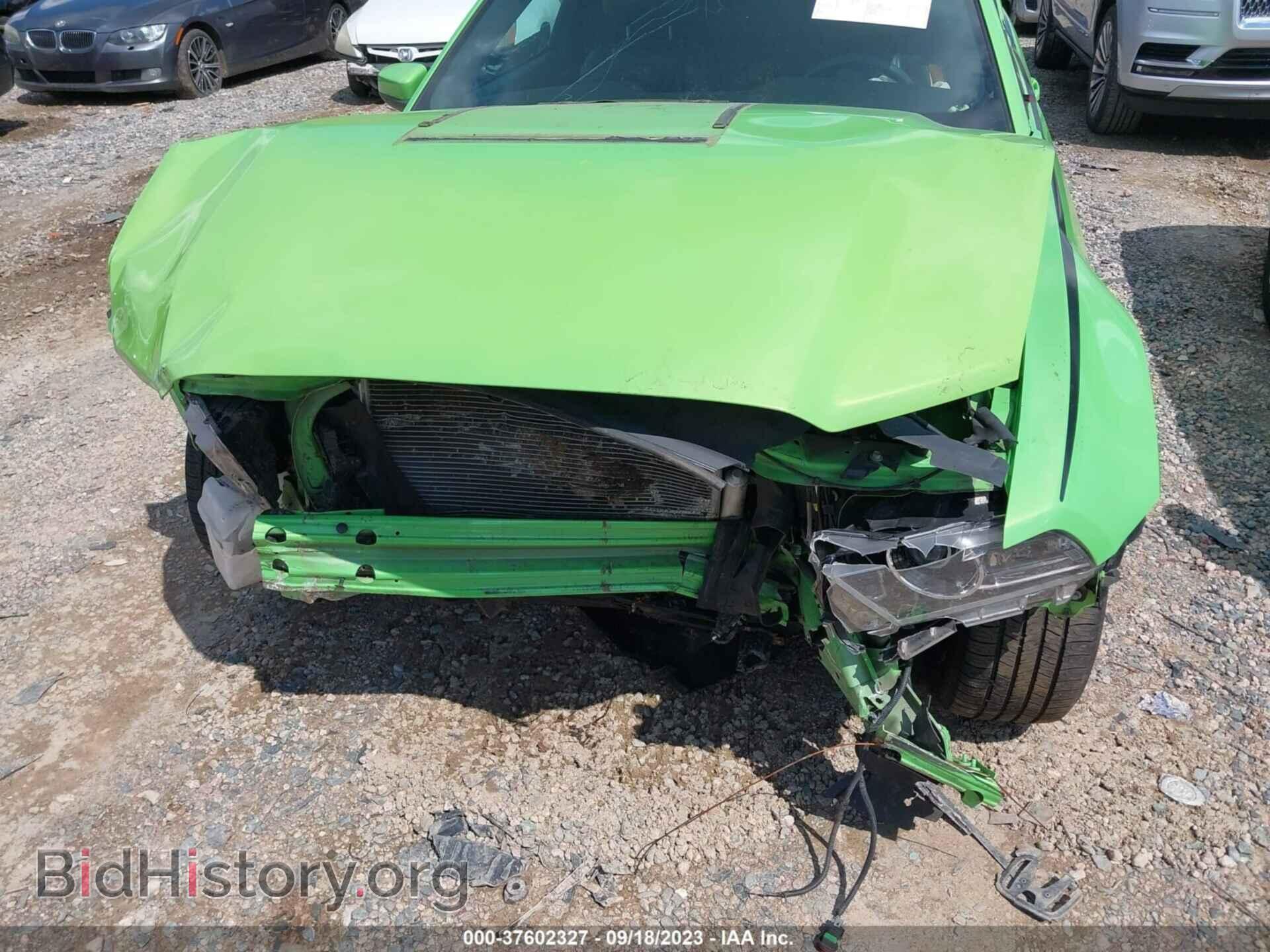 2013 FORD MUSTANG - VIN: 1ZVBP8AM2D5263097 - Фото 6