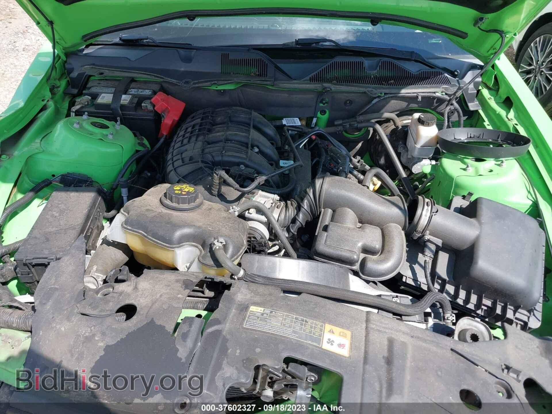 2013 FORD MUSTANG - VIN: 1ZVBP8AM2D5263097 - Фото 10