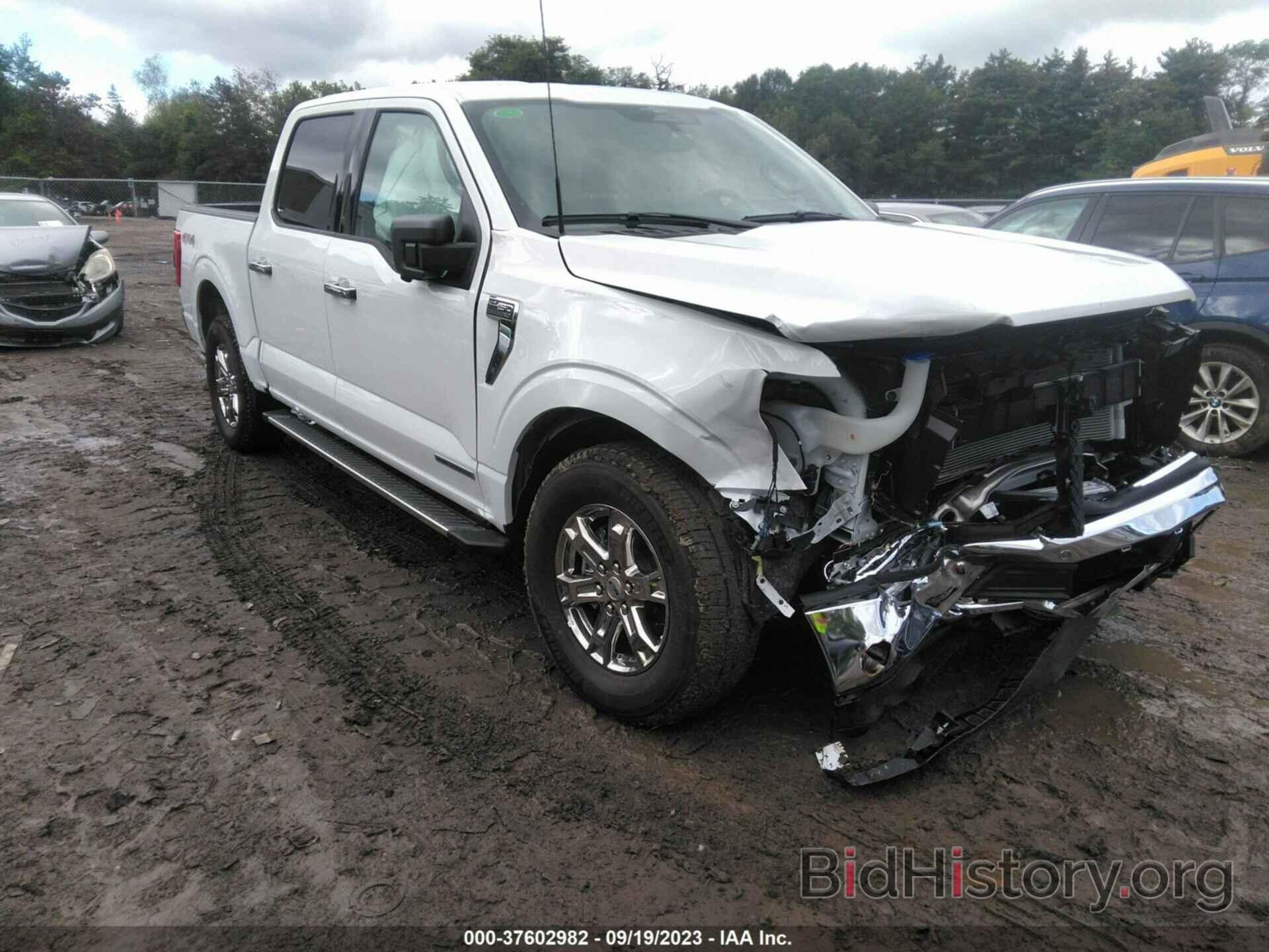 Photo 1FTFW1ED7PFC25999 - FORD F-150 2023