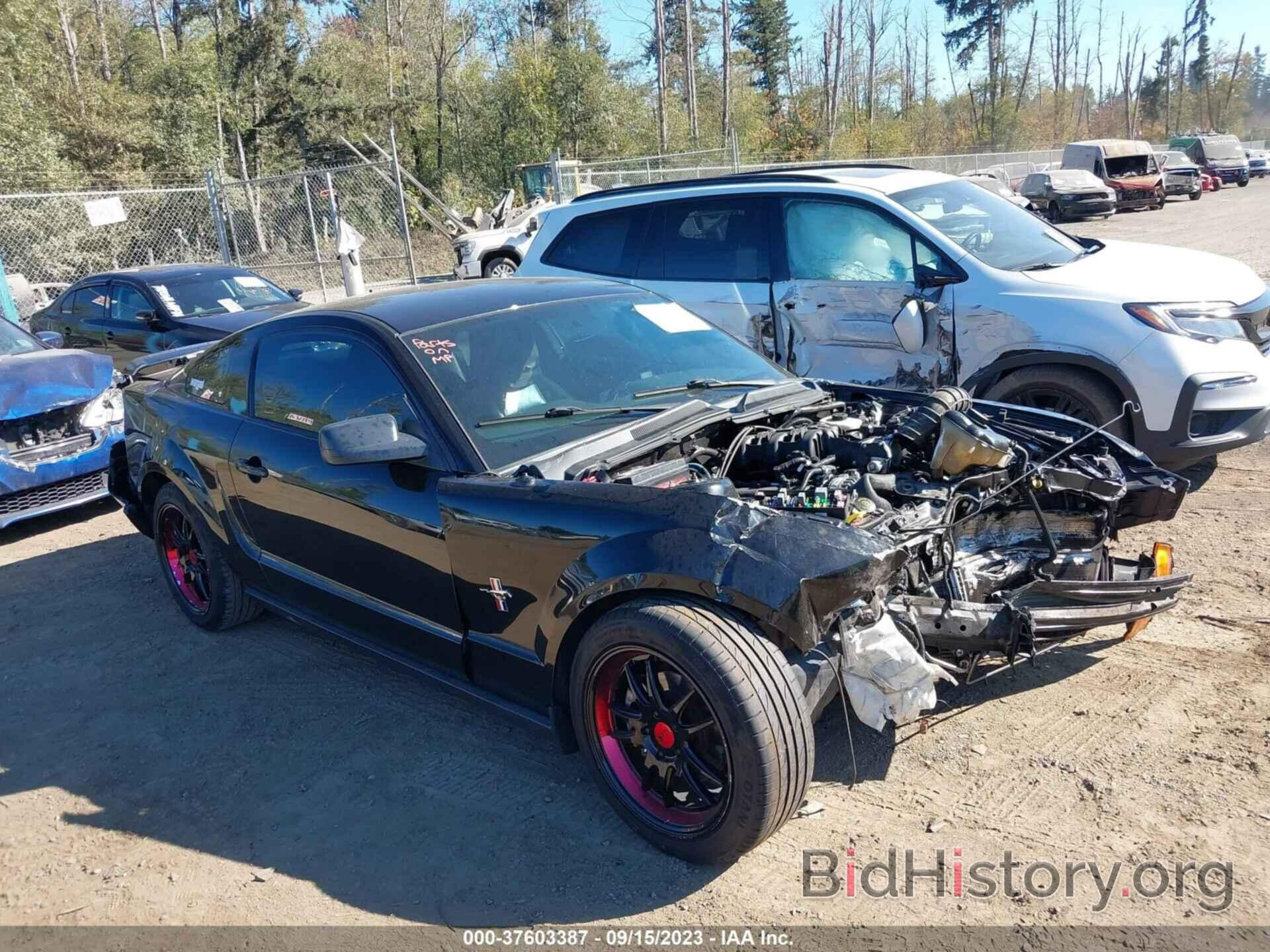 Photo 1ZVFT80NX65148595 - FORD MUSTANG 2006