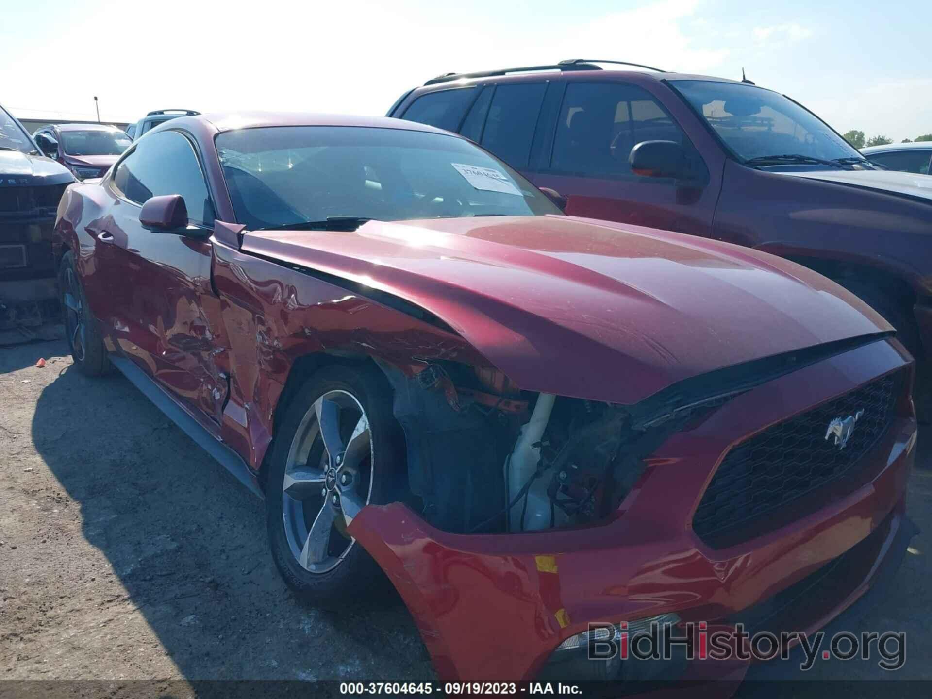 Photo 1FA6P8AM4F5429536 - FORD MUSTANG 2015