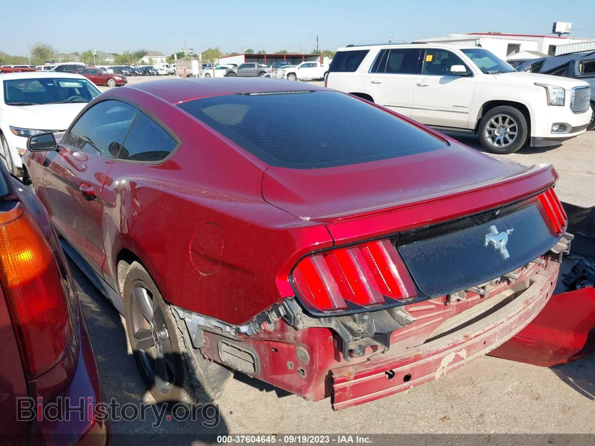 2015 FORD MUSTANG - VIN: 1FA6P8AM4F5429536 - Фото 3