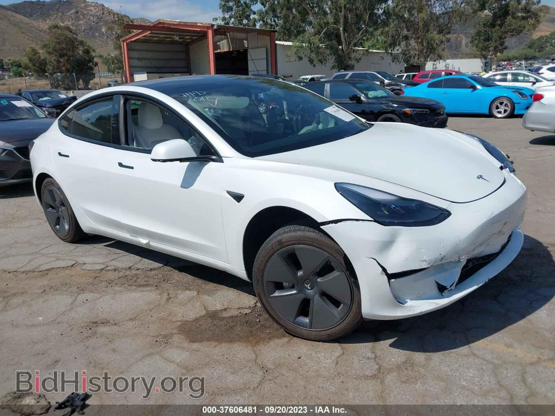 Фотография 5YJ3E1EA8PF512929 - TESLA MODEL 3 2023