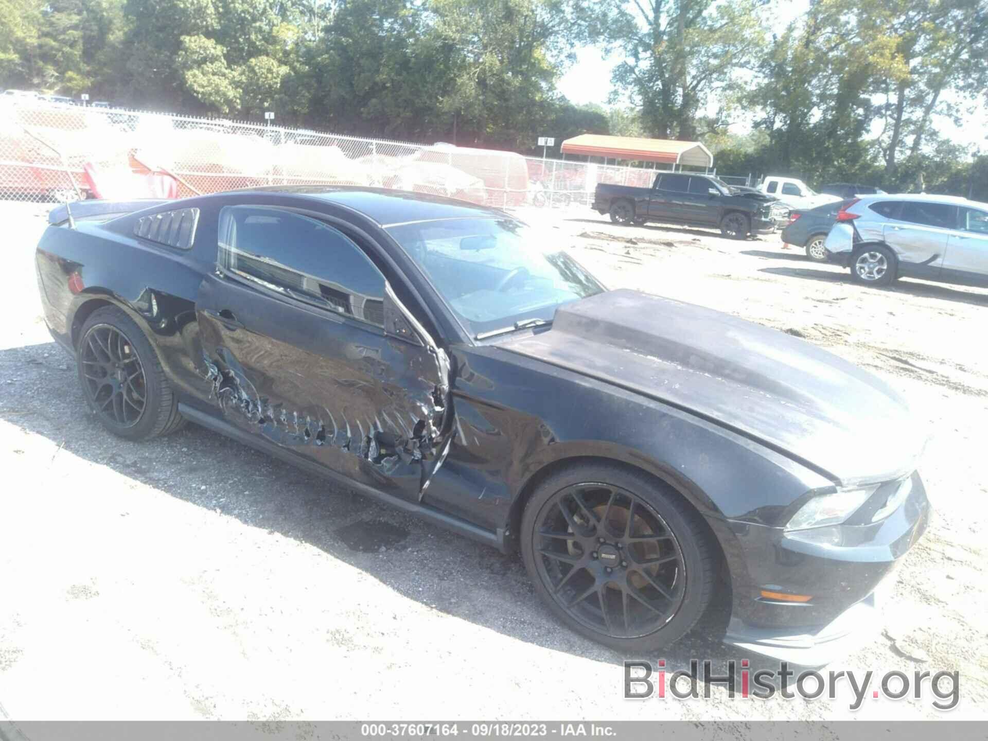 Photo 1ZVBP8AM2C5224010 - FORD MUSTANG 2012