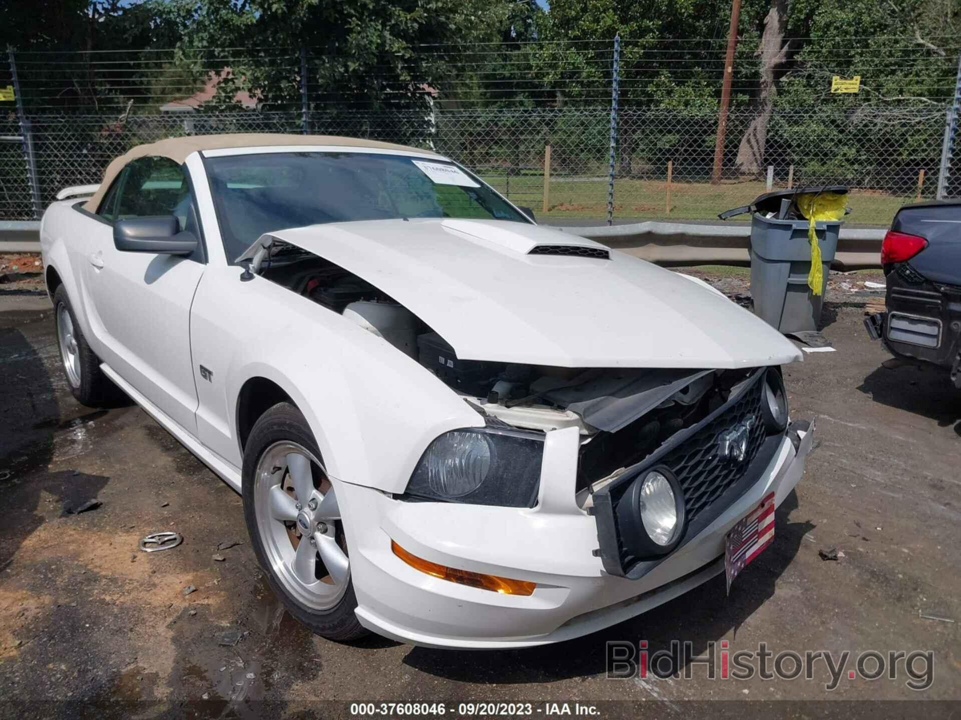 Photo 1ZVFT85H475304392 - FORD MUSTANG 2007