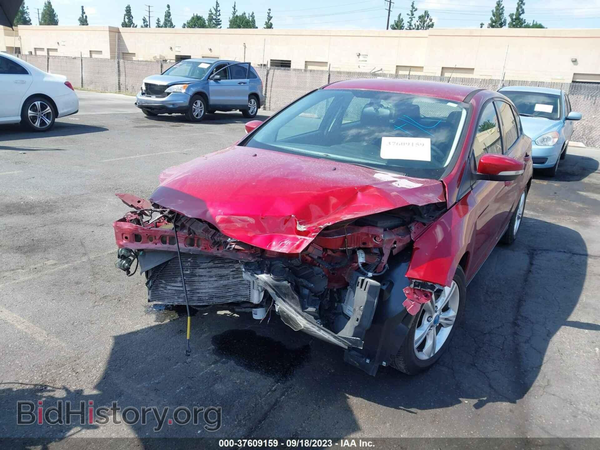 2013 FORD FOCUS - VIN: 1FADP3K28DL131989 - Фото 2