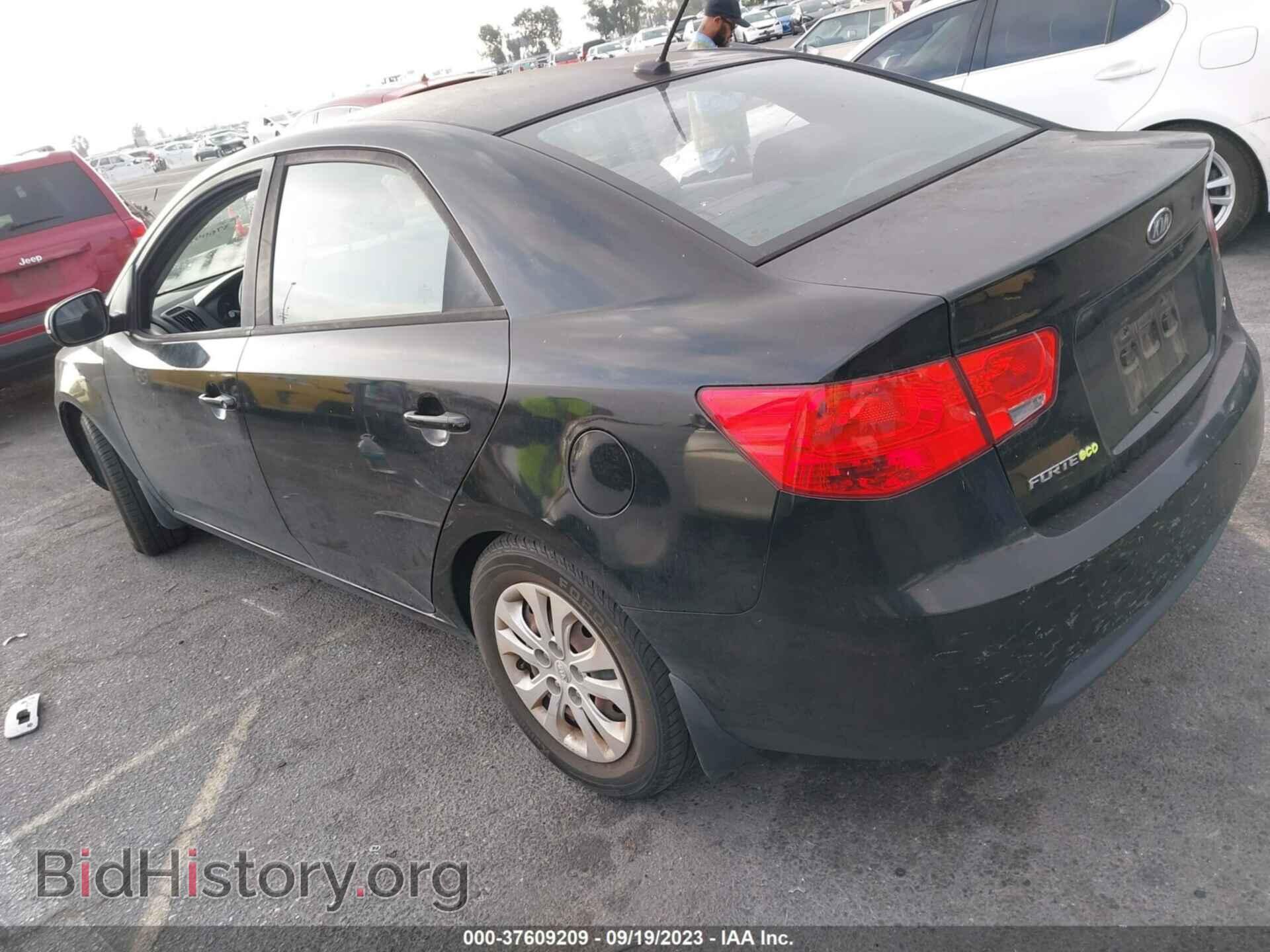2013 KIA FORTE - VIN: KNAFU4A21D5716322 - Фото 3