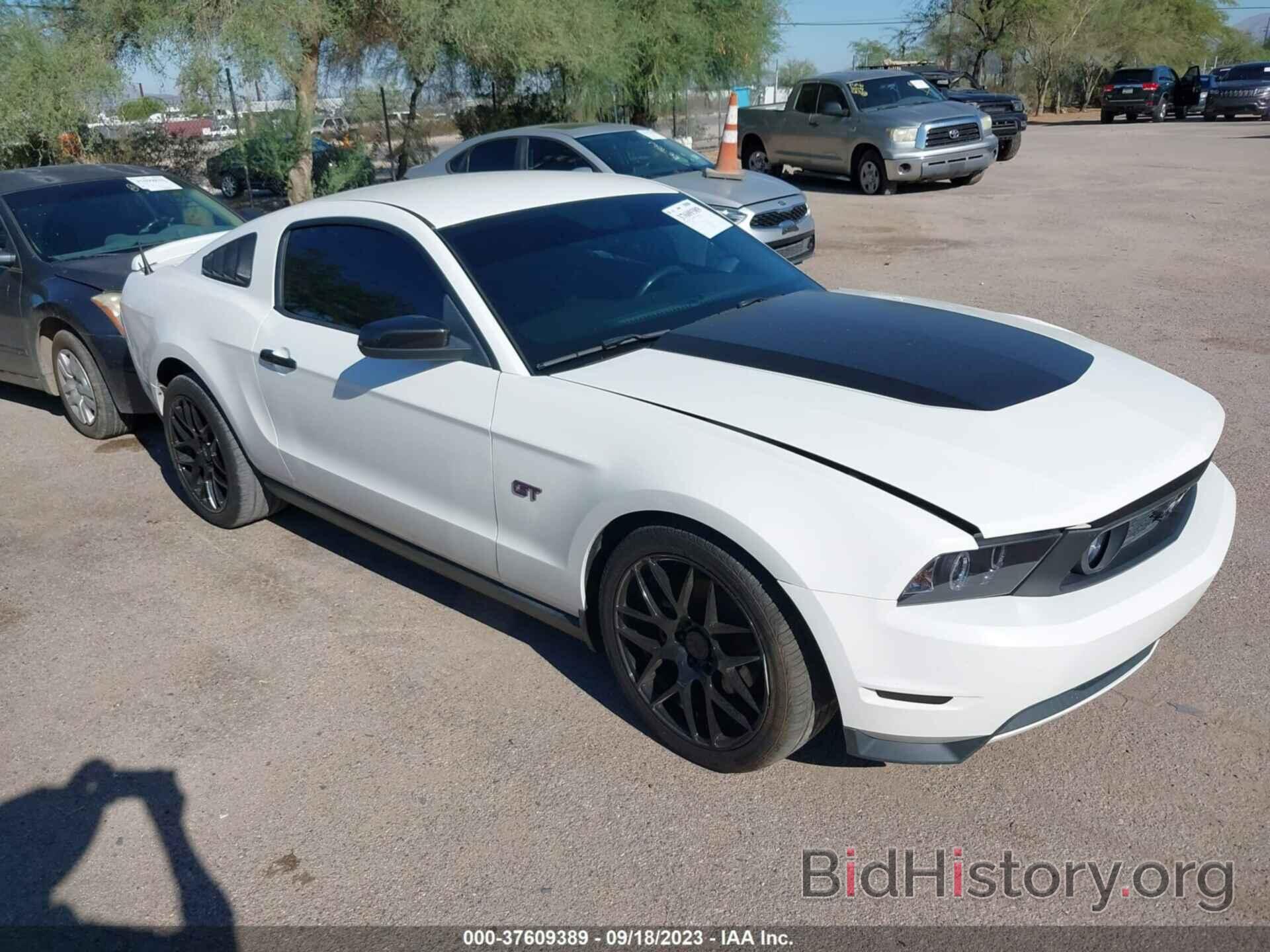 Photo 1ZVBP8CH0A5146758 - FORD MUSTANG 2010