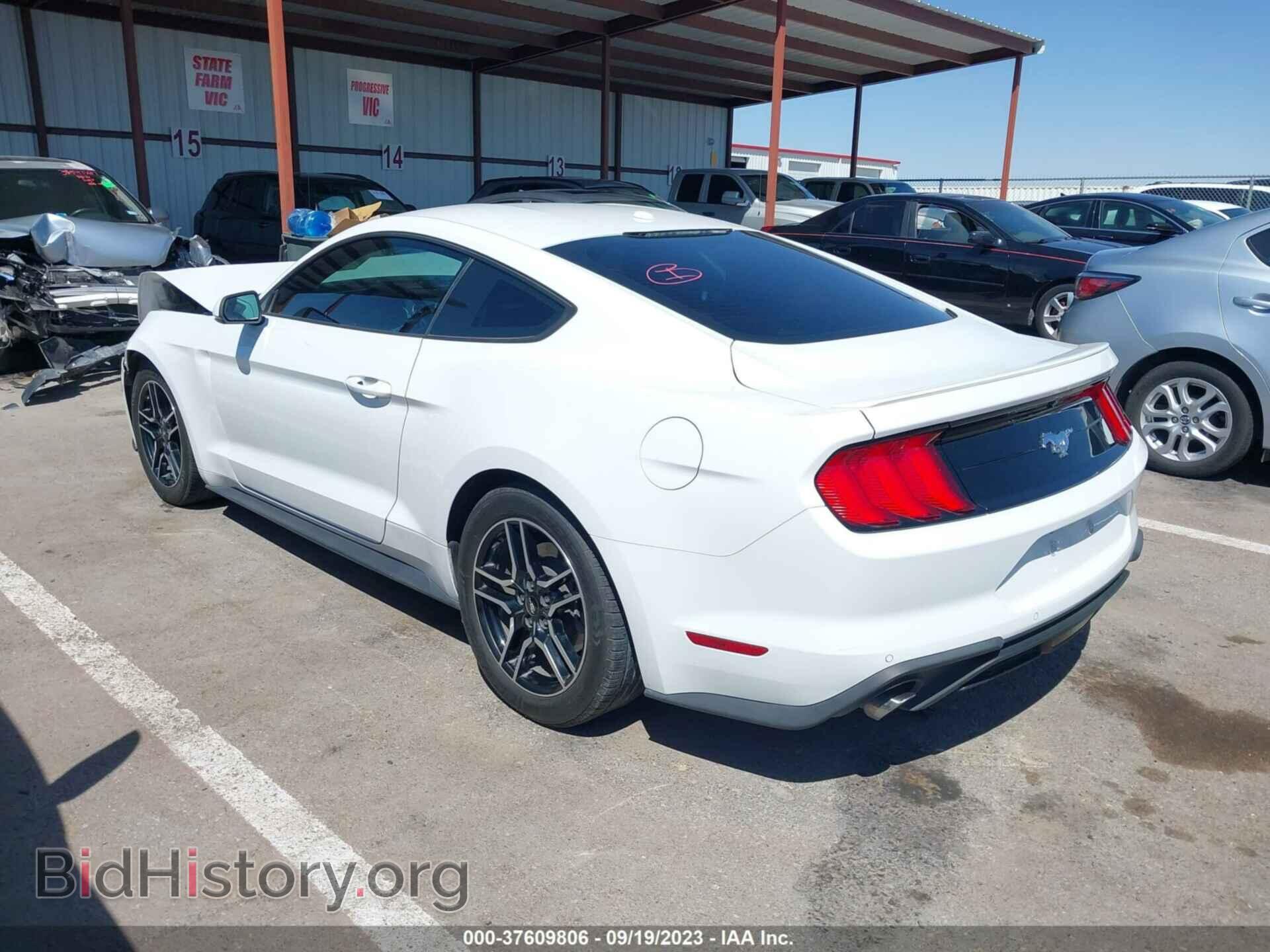 2019 FORD MUSTANG - VIN: 1FA6P8THXK5123077 - Фото 3