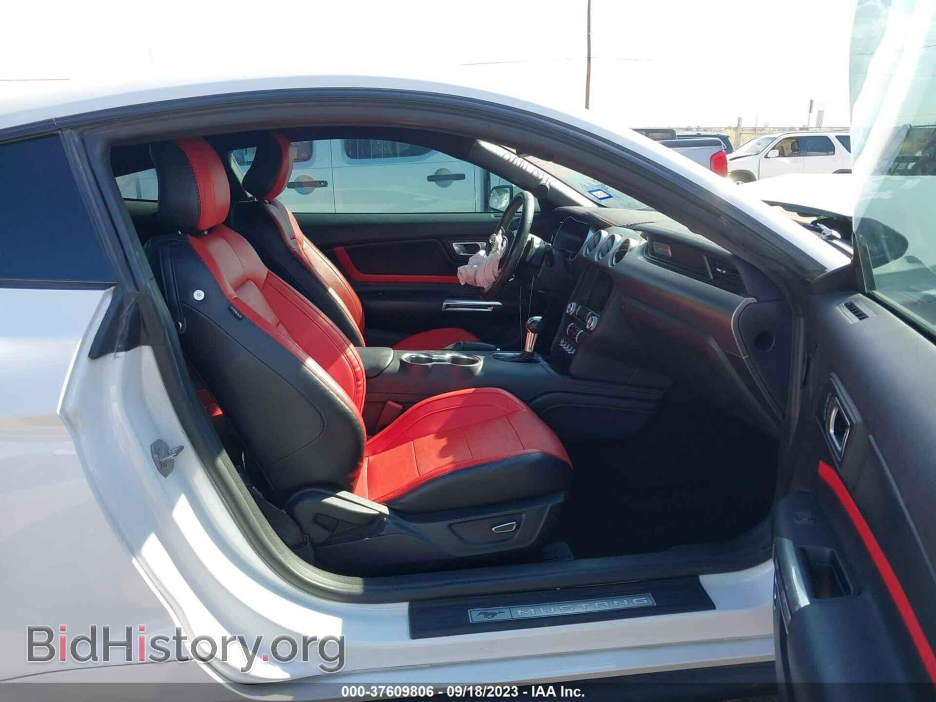 2019 FORD MUSTANG - VIN: 1FA6P8THXK5123077 - Фото 5