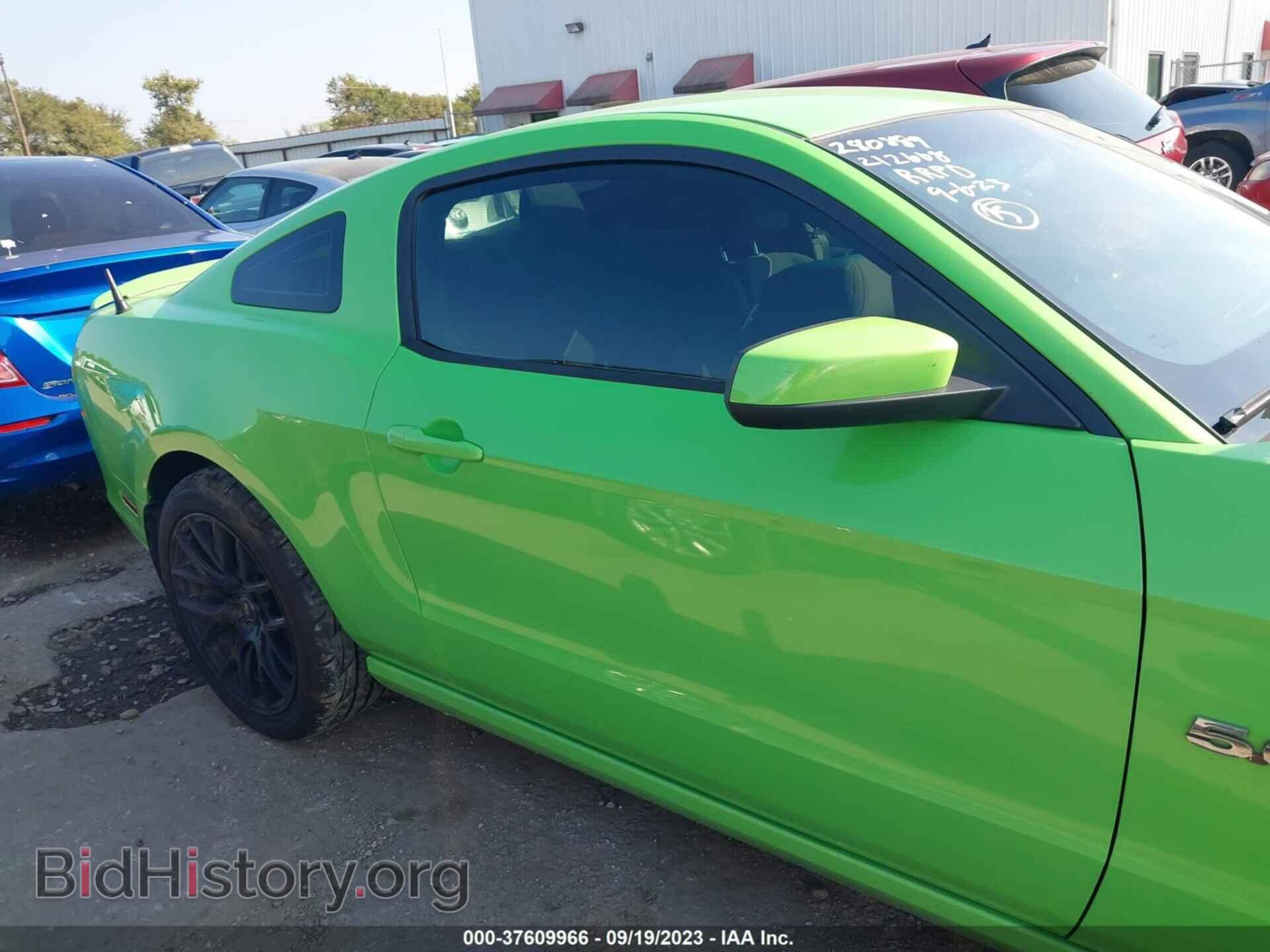 2013 FORD MUSTANG - VIN: 1ZVBP8CF8D5212668 - Фото 13