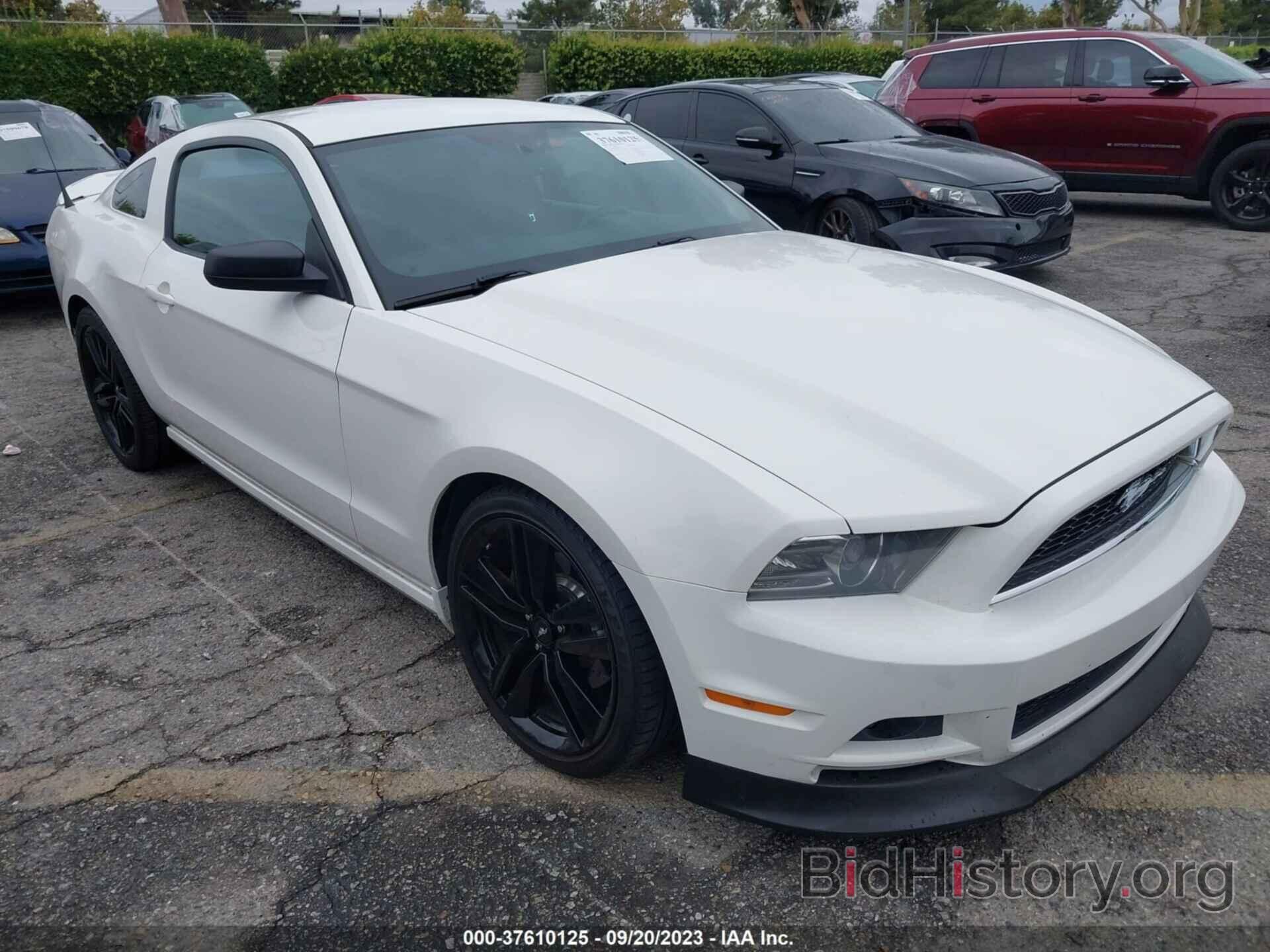 Photo 1ZVBP8AMXD5267270 - FORD MUSTANG 2013