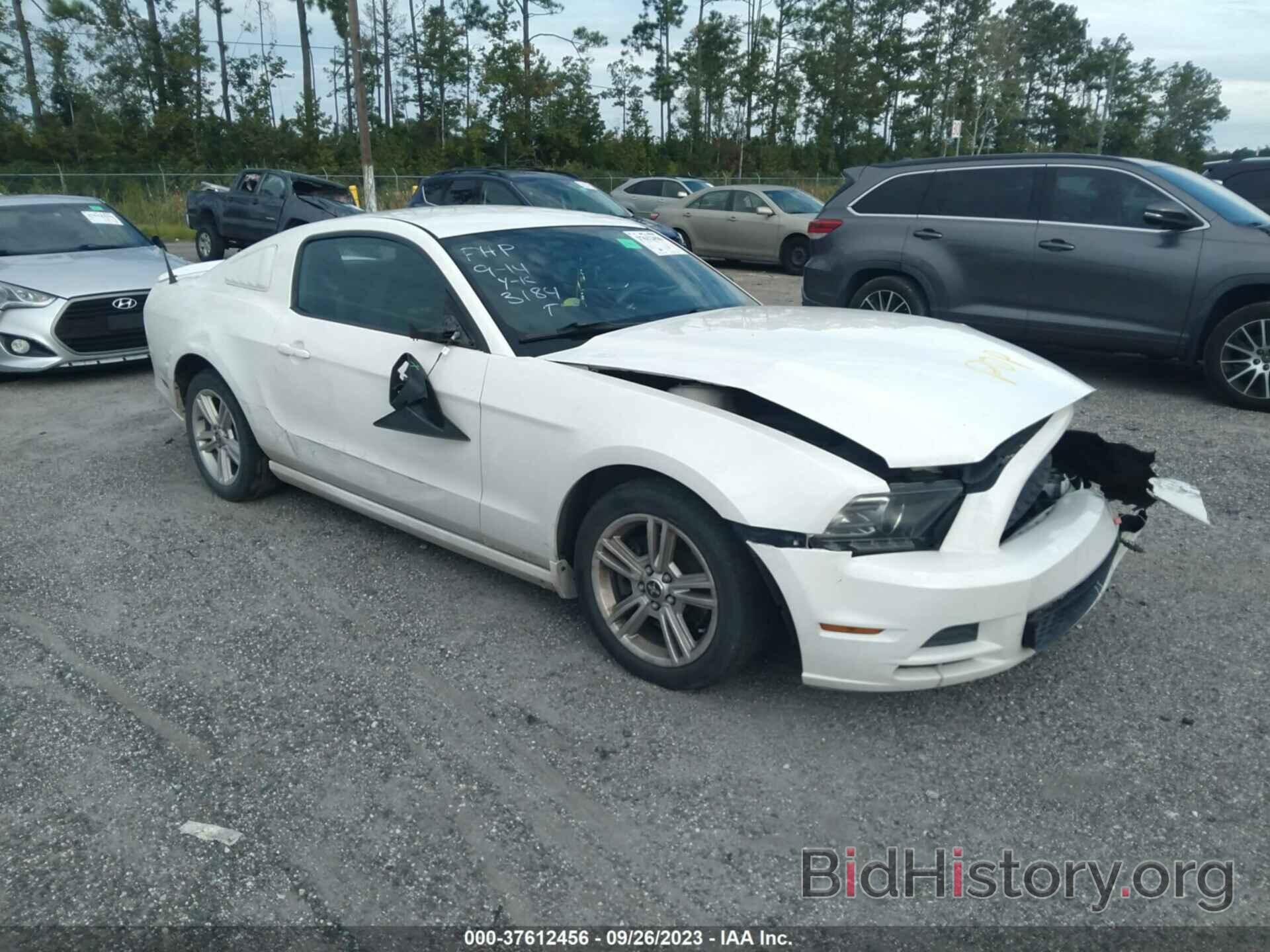 Photo 1ZVBP8AM5D5203184 - FORD MUSTANG 2013