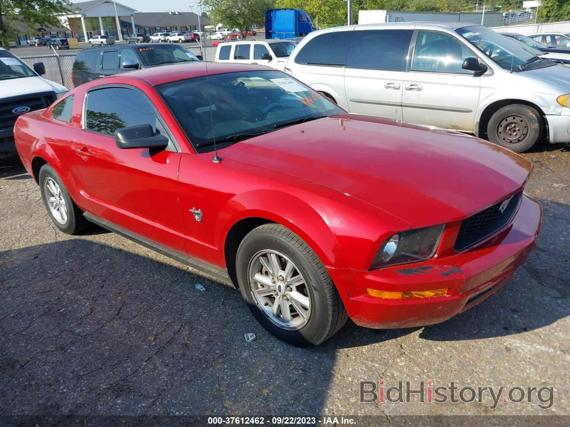 Photo 1ZVHT80N395116861 - FORD MUSTANG 2009