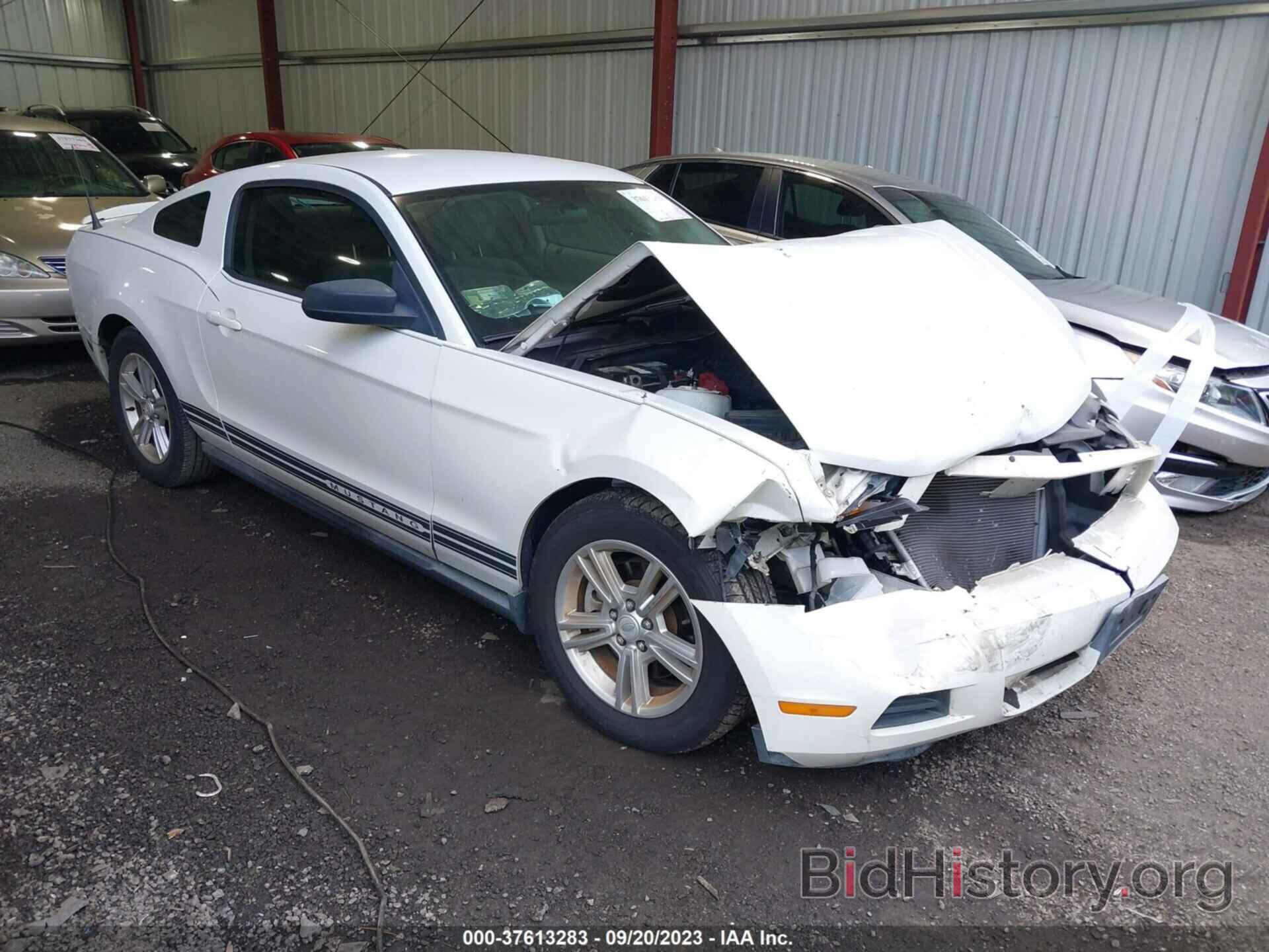 Photo 1ZVBP8AM9B5112576 - FORD MUSTANG 2011