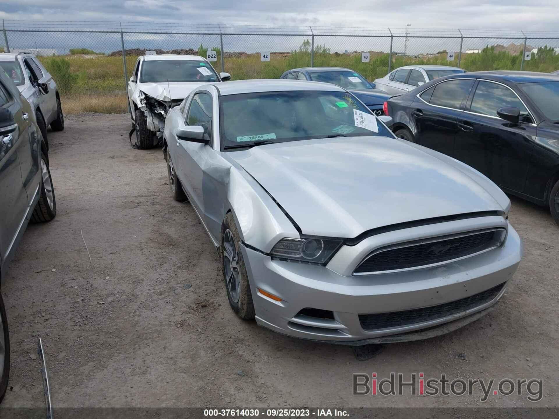 Photo 1ZVBP8AM0E5302206 - FORD MUSTANG 2014