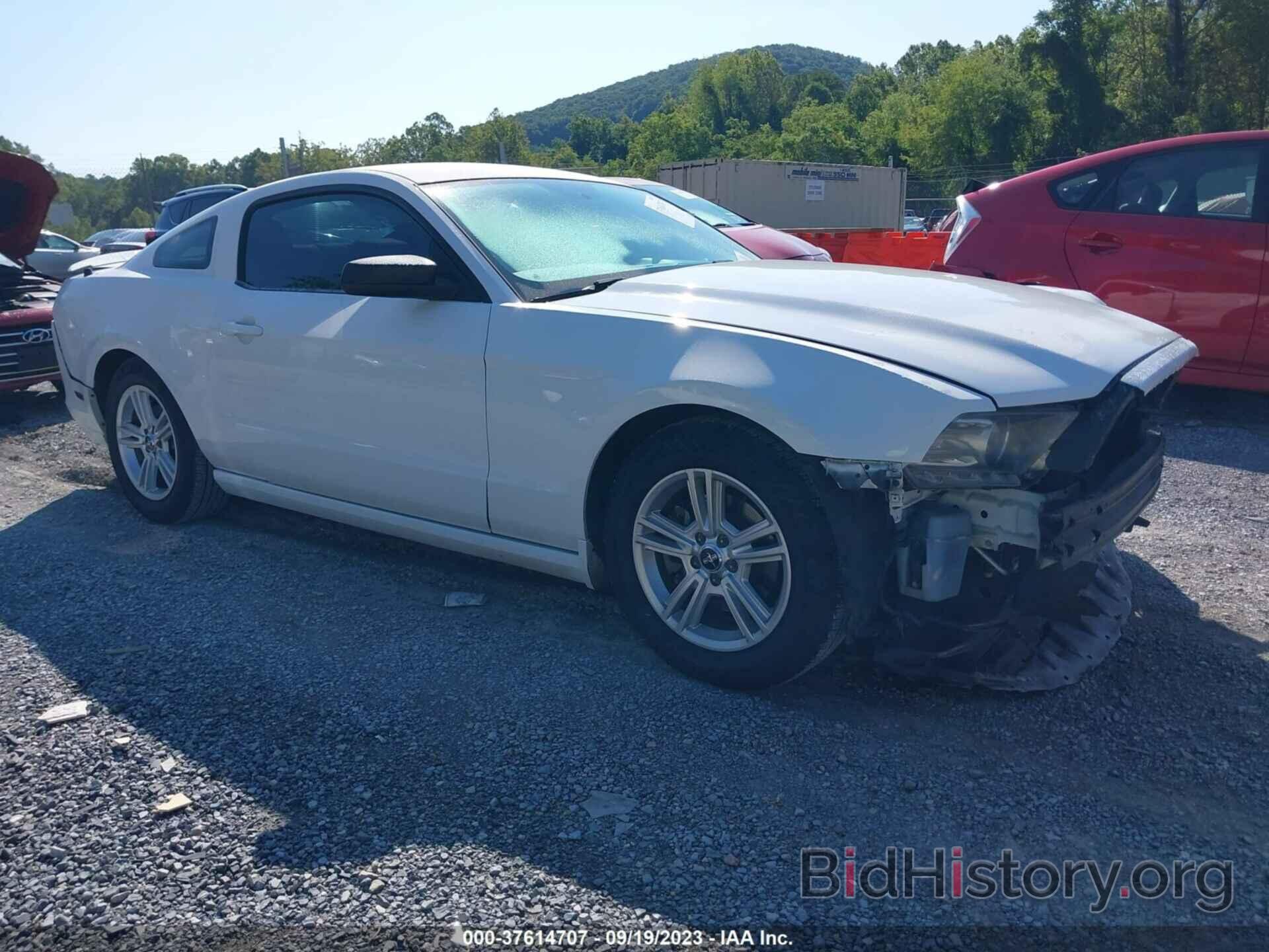 Photo 1ZVBP8AM5E5200495 - FORD MUSTANG 2014