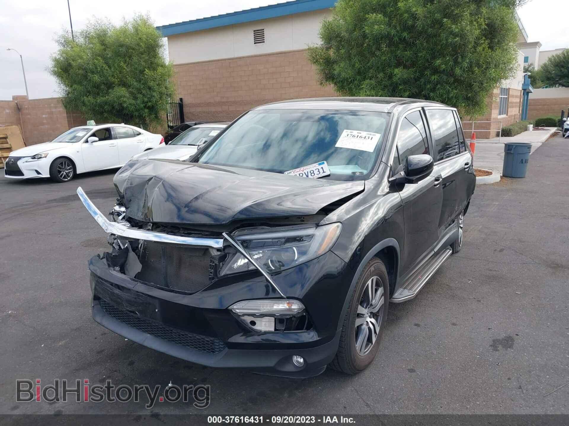 2018 HONDA PILOT - VIN: 5FNYF5H33JB024891 - Фото 2