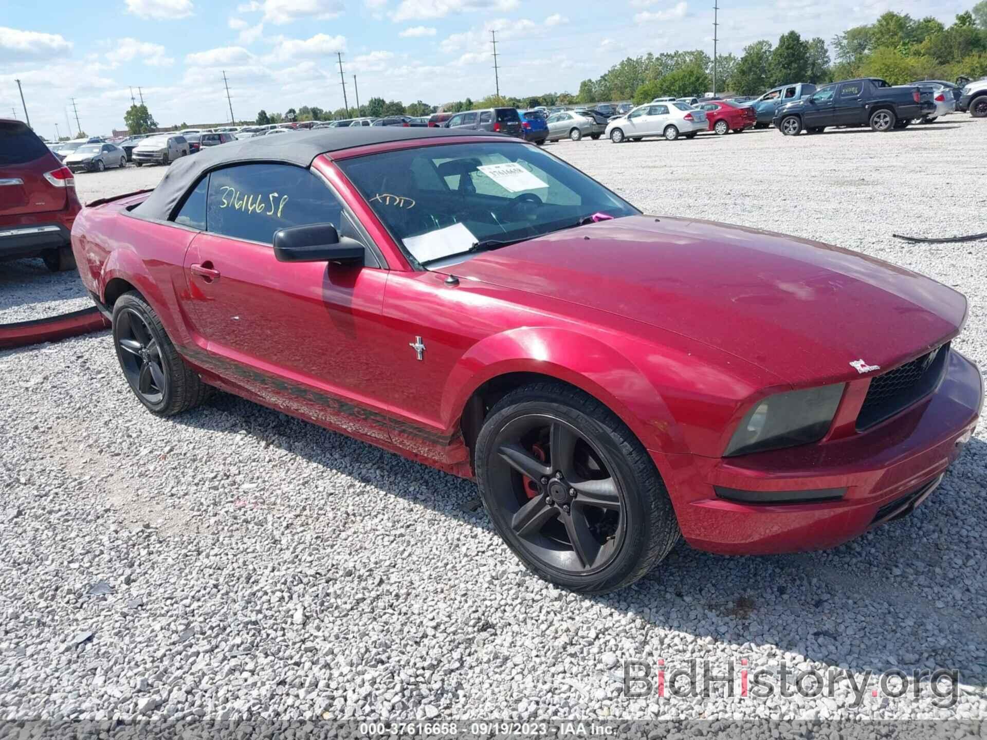 Photo 1ZVFT84N075206239 - FORD MUSTANG 2007