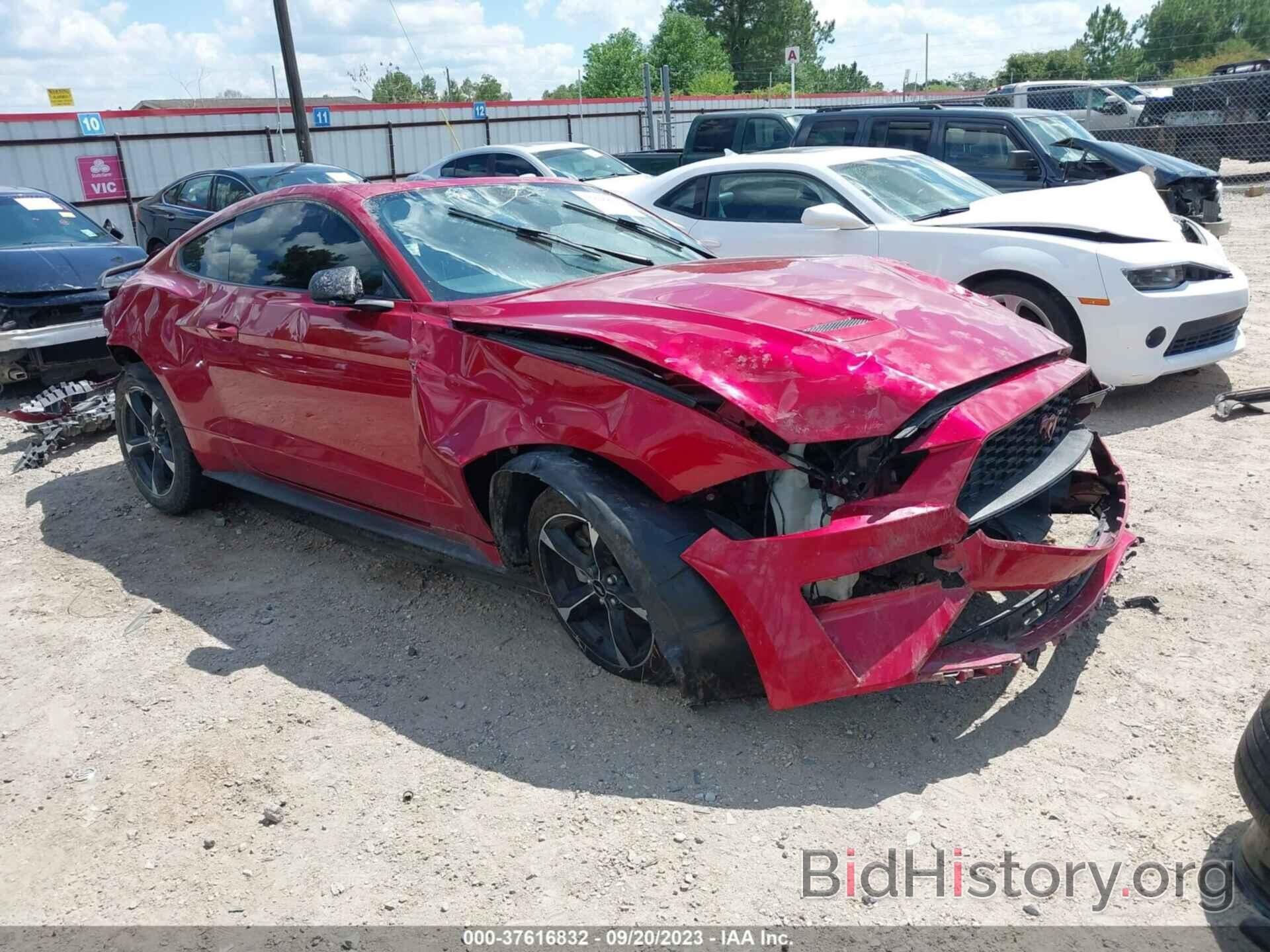 Photo 1FA6P8TH6L5161794 - FORD MUSTANG 2020