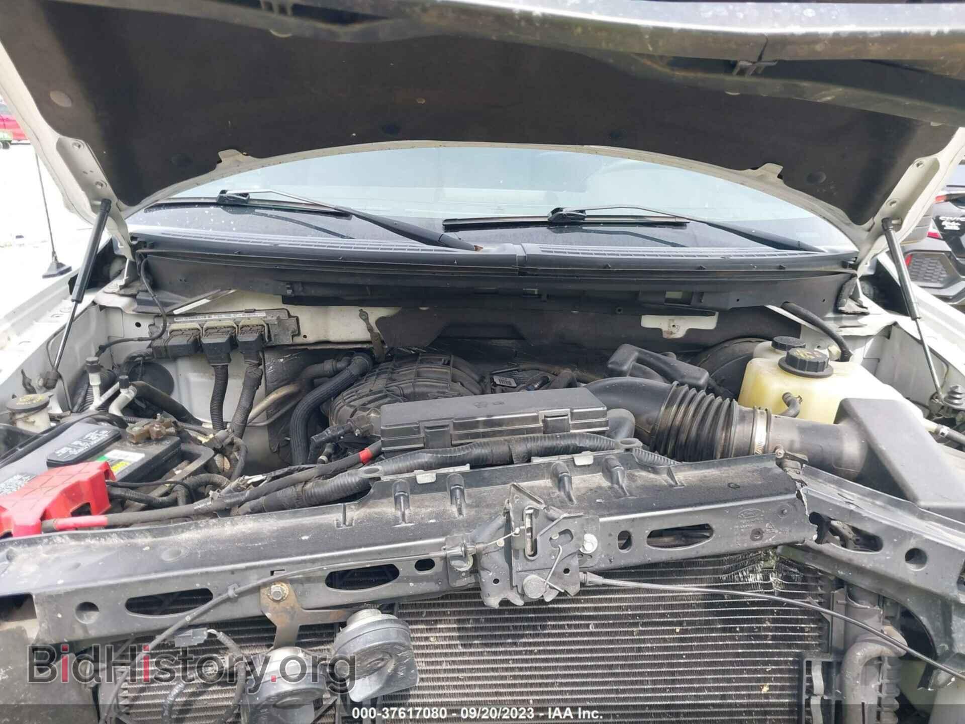2011 FORD F-150 - VIN: 1FTMF1CM4BFC22268 - Фото 10