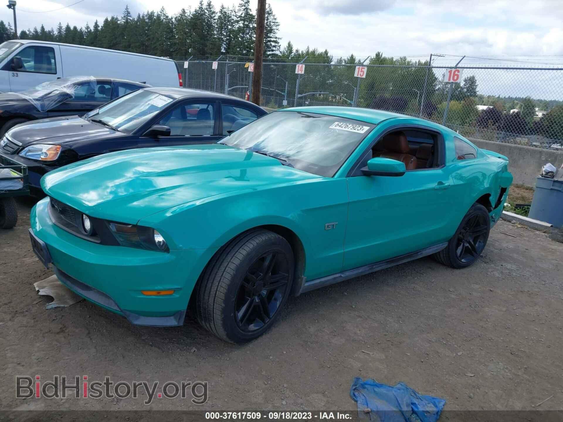 2010 FORD MUSTANG - VIN: 1ZVBP8CH8A5162934 - Фото 2