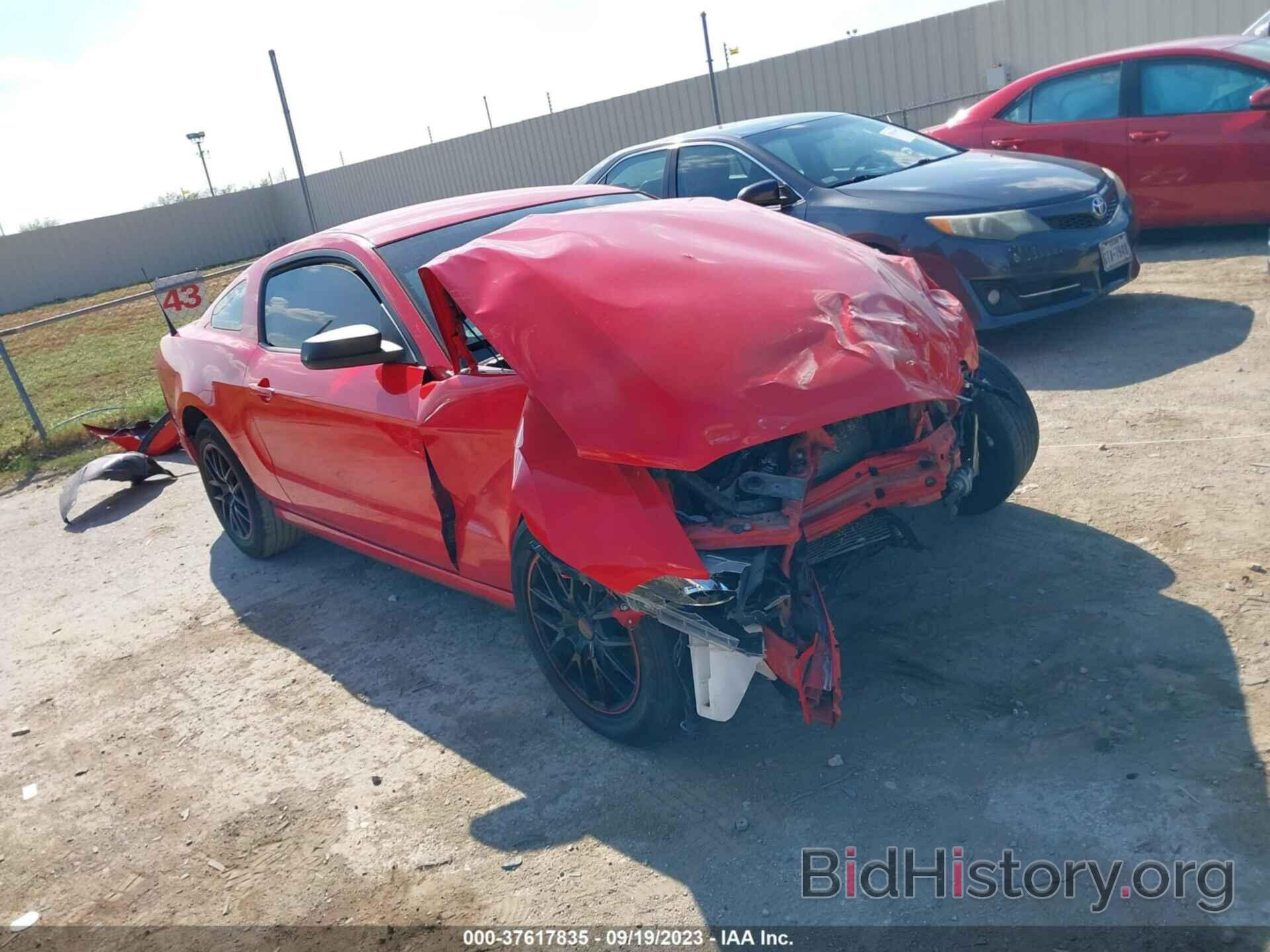 Photo 1ZVBP8AM2E5292228 - FORD MUSTANG 2014