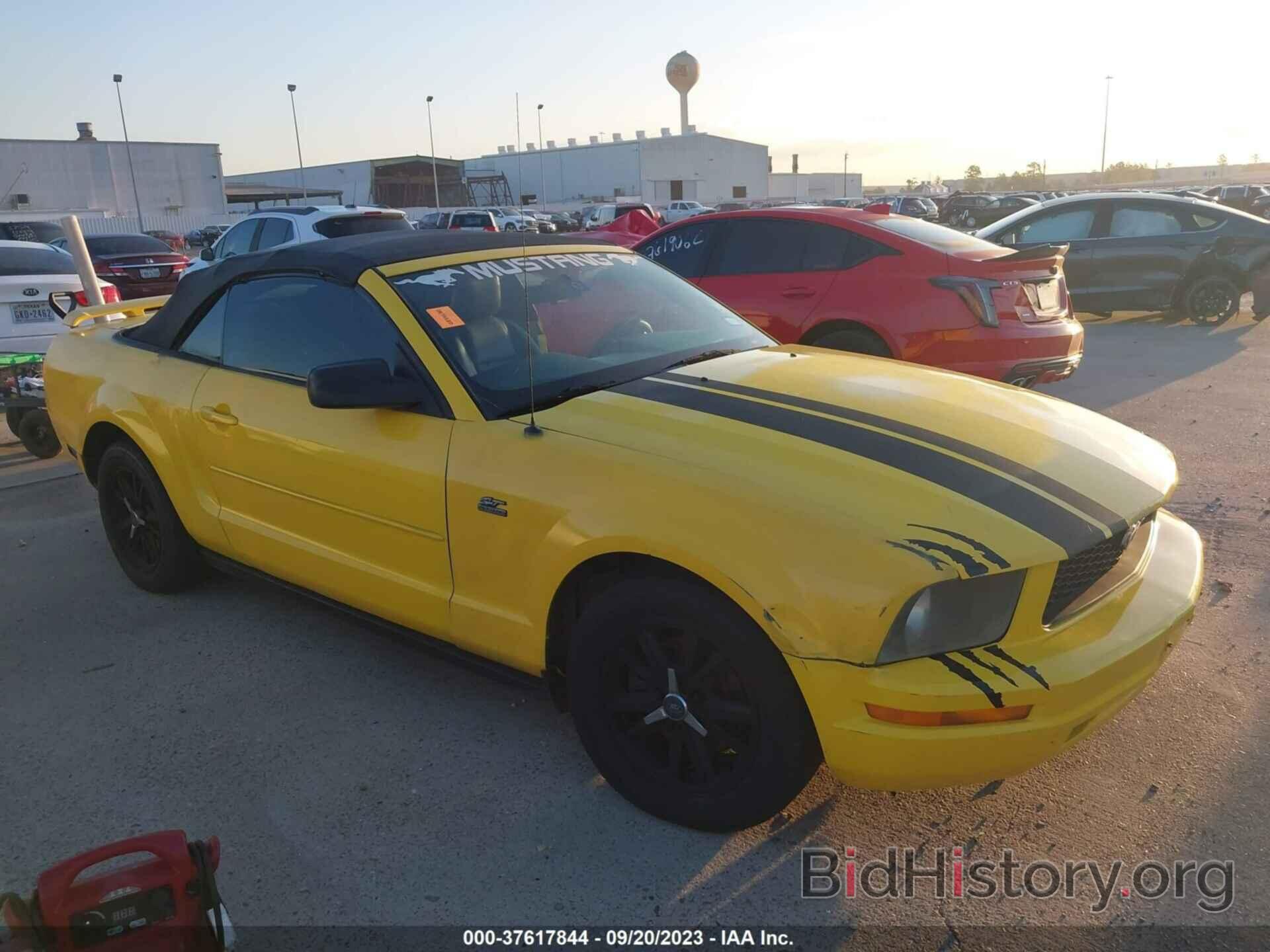 Photo 1ZVFT84N665105964 - FORD MUSTANG 2006