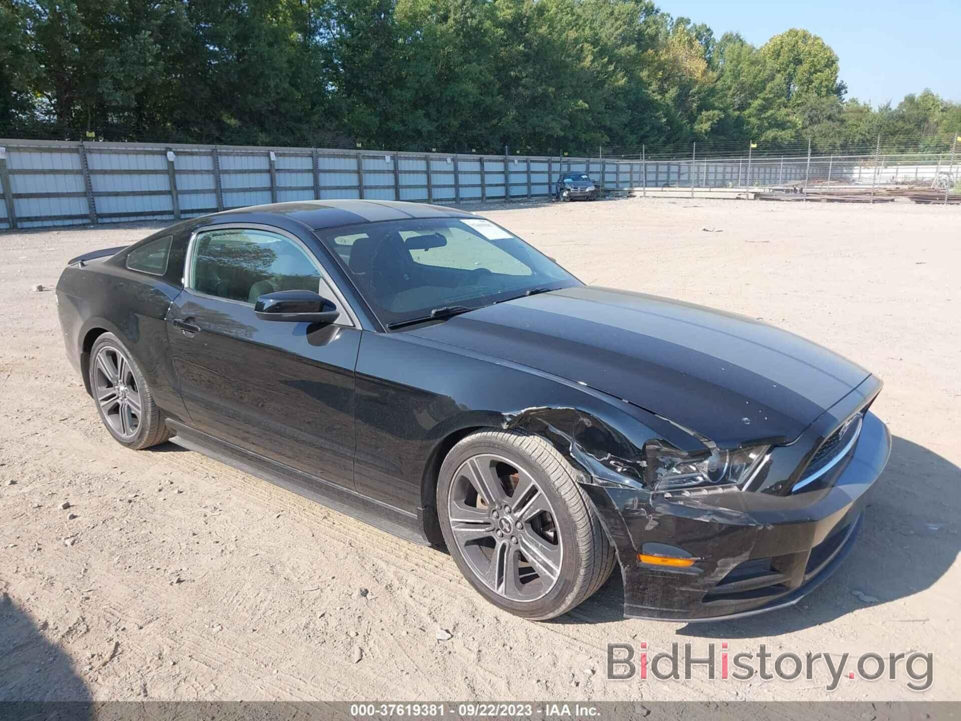 Photo 1ZVBP8AM2D5258272 - FORD MUSTANG 2013