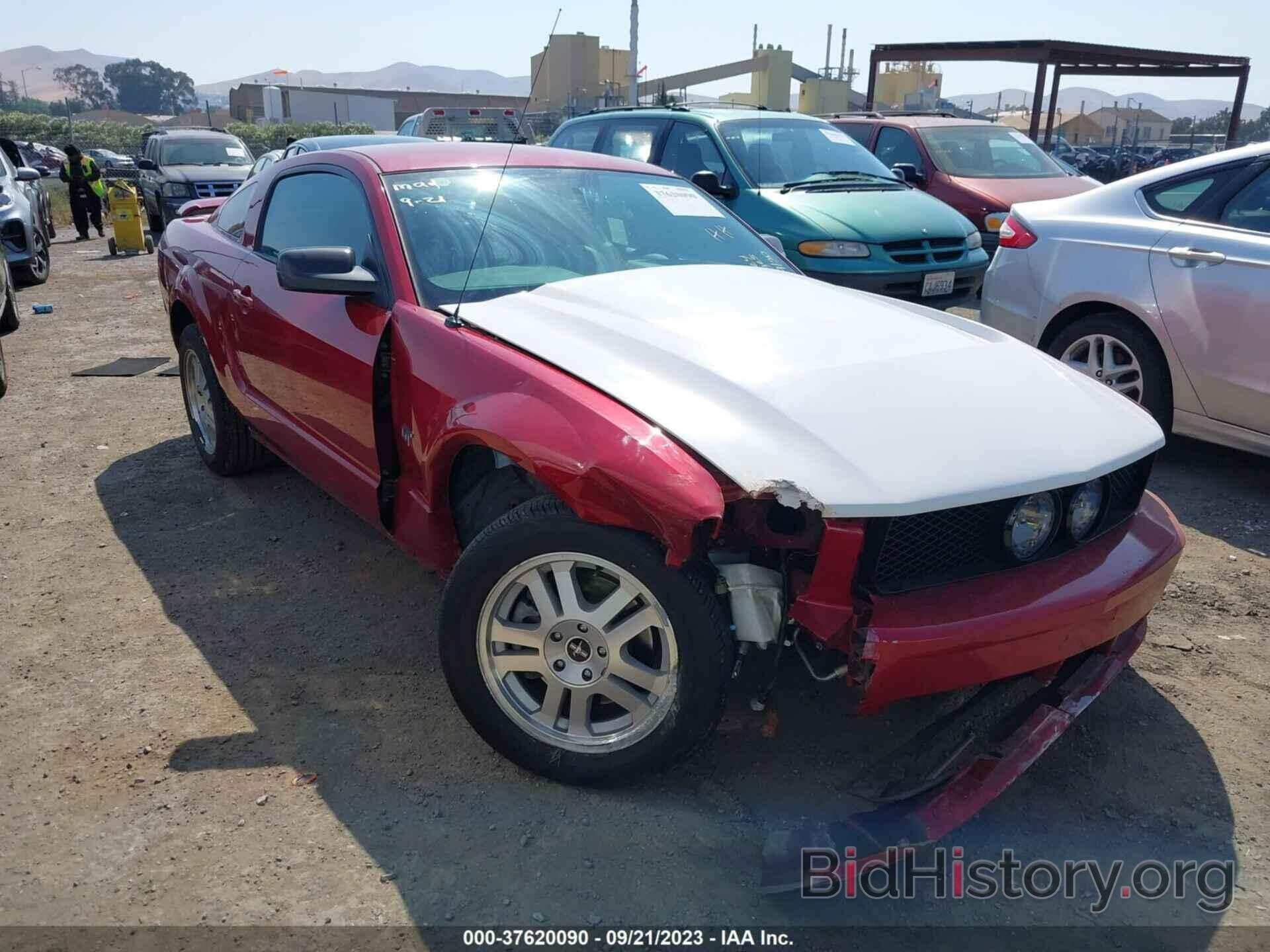 Photo 1ZVHT82H085162539 - FORD MUSTANG 2008