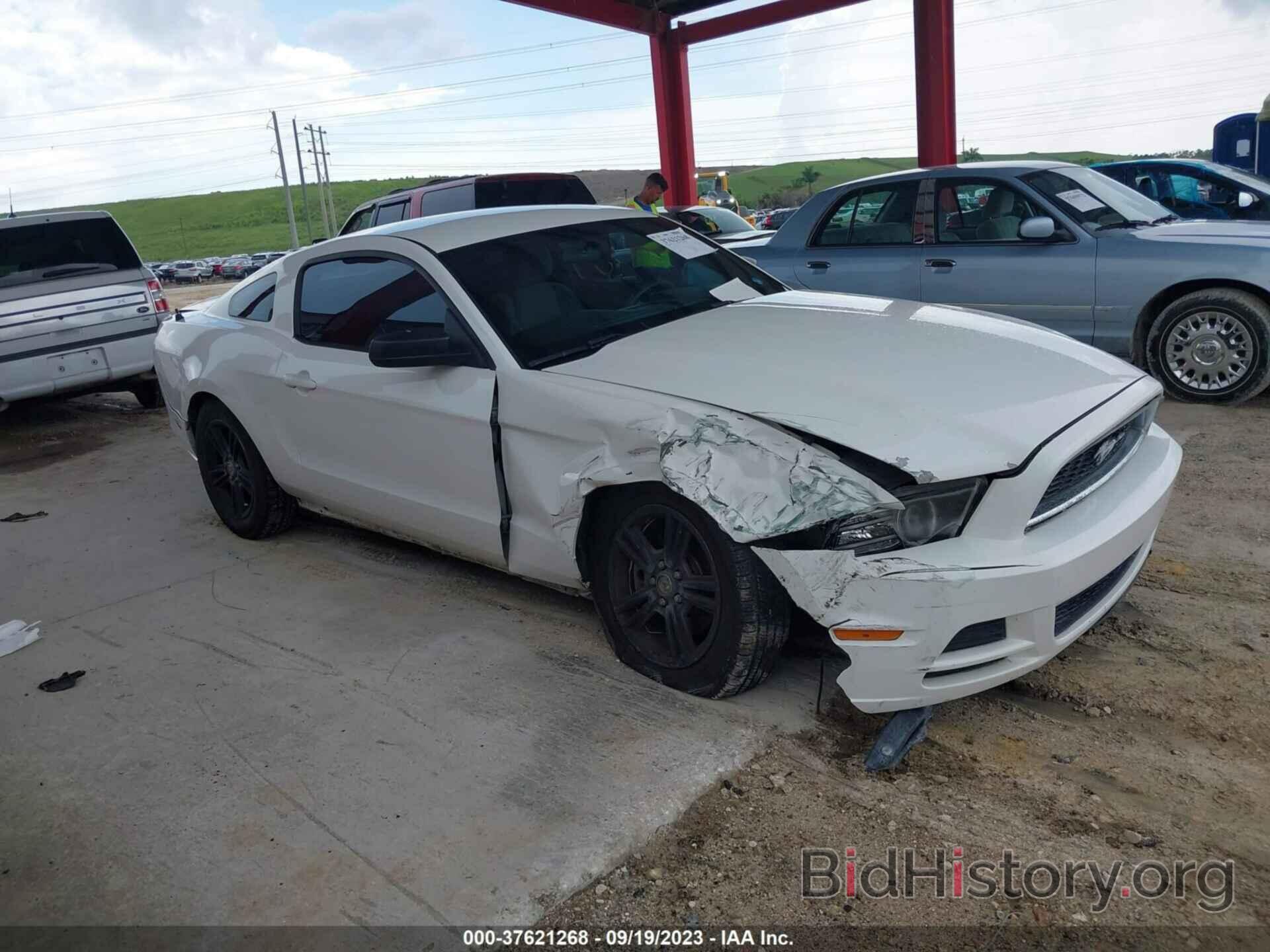 Photo 1ZVBP8AM0D5275913 - FORD MUSTANG 2013