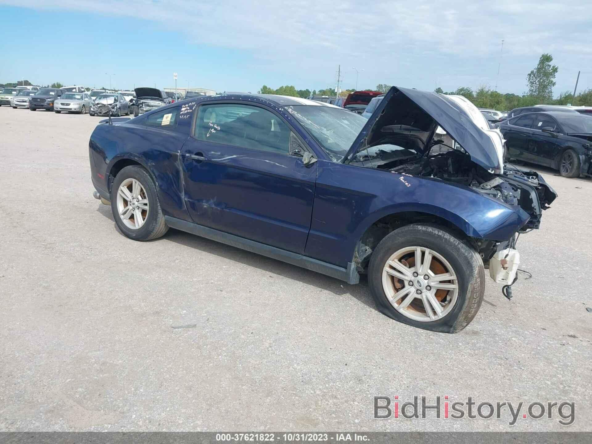Photo 1ZVBP8AM4C5256280 - FORD MUSTANG 2012