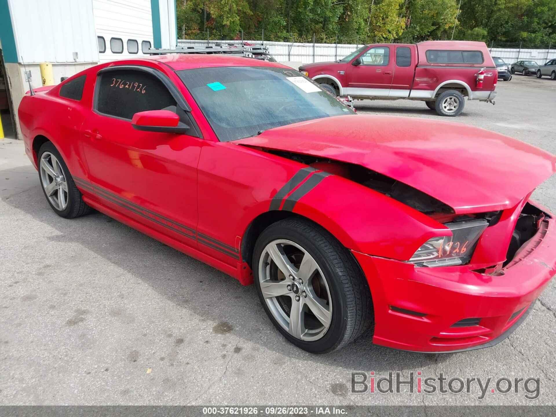 Photo 1ZVBP8AM3D5239522 - FORD MUSTANG 2013