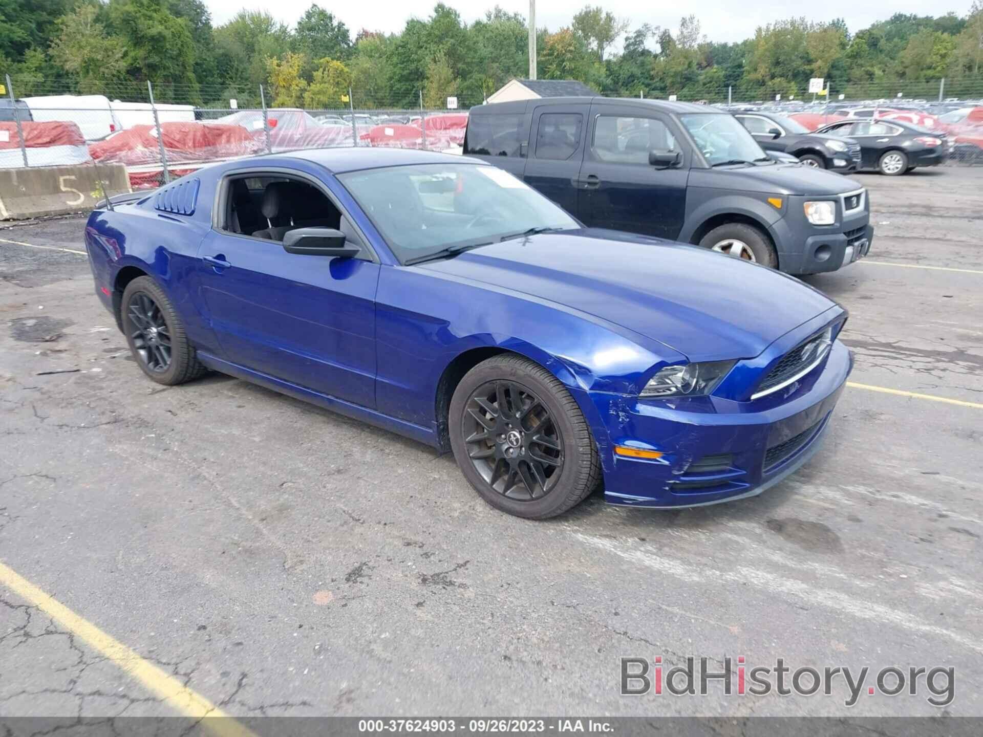 Photo 1ZVBP8AM9E5286247 - FORD MUSTANG 2014