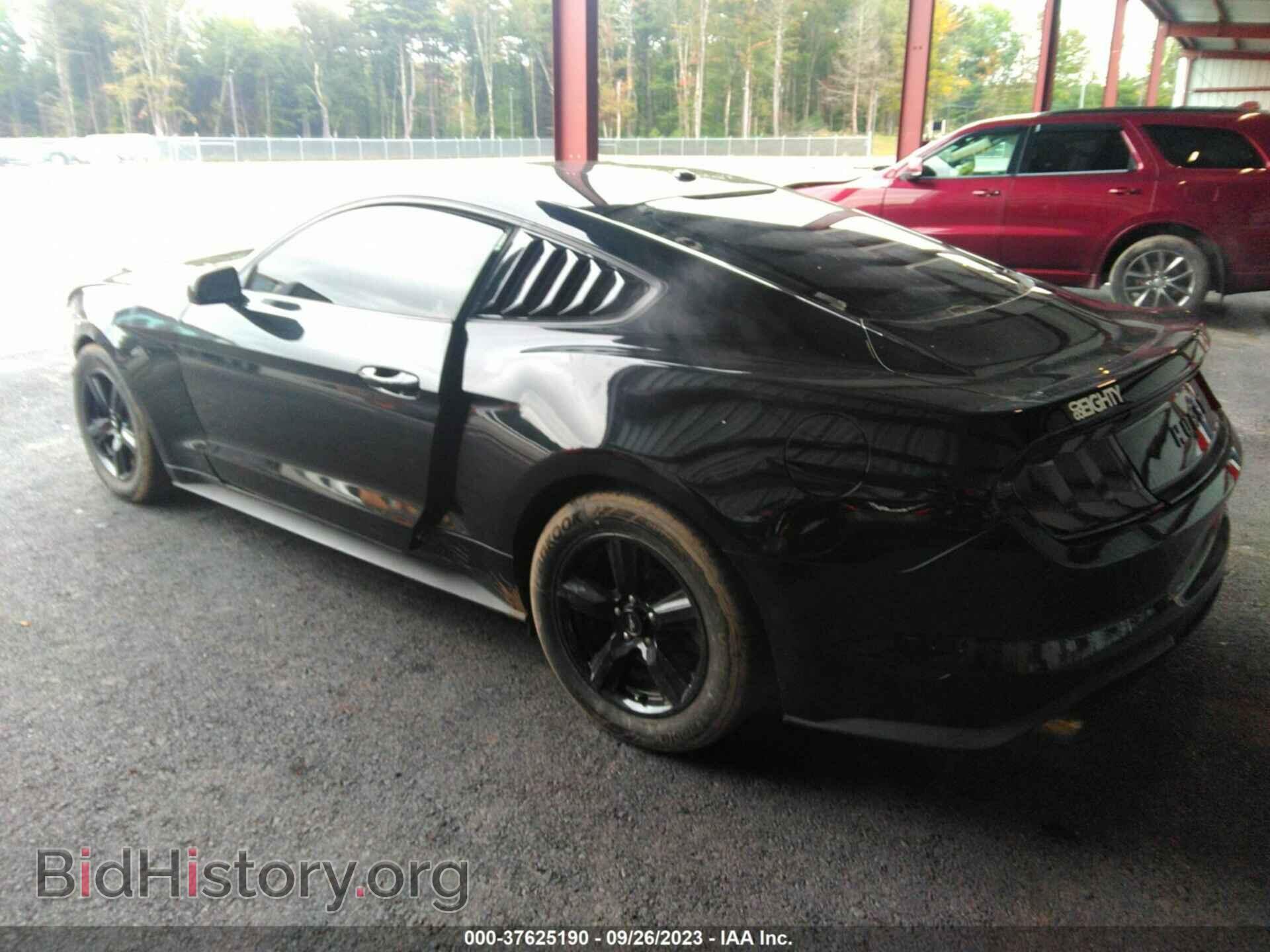 2019 FORD MUSTANG - VIN: 1FA6P8TH3K5124670 - Фото 3