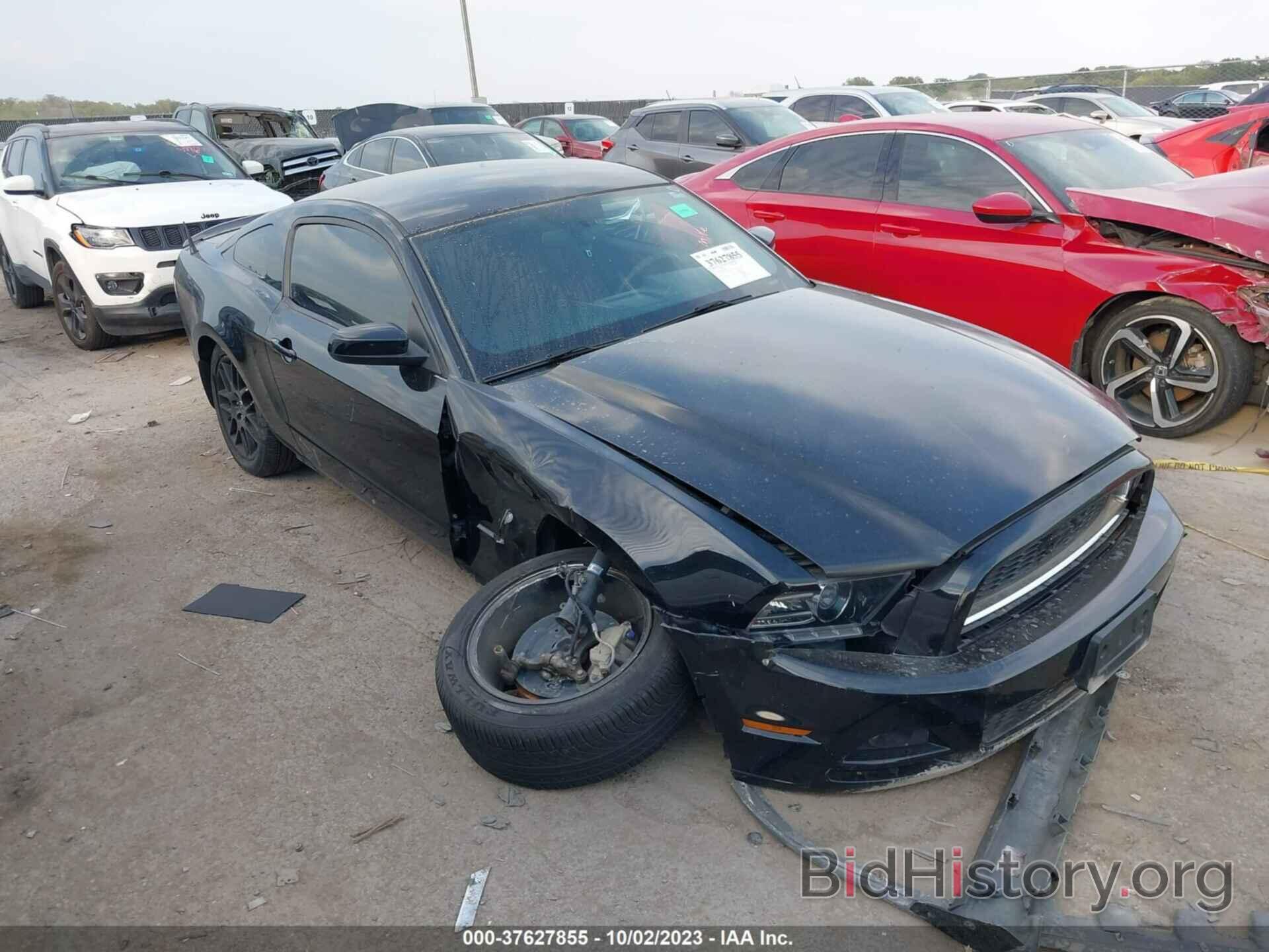 Photo 1ZVBP8AM8E5235404 - FORD MUSTANG 2014