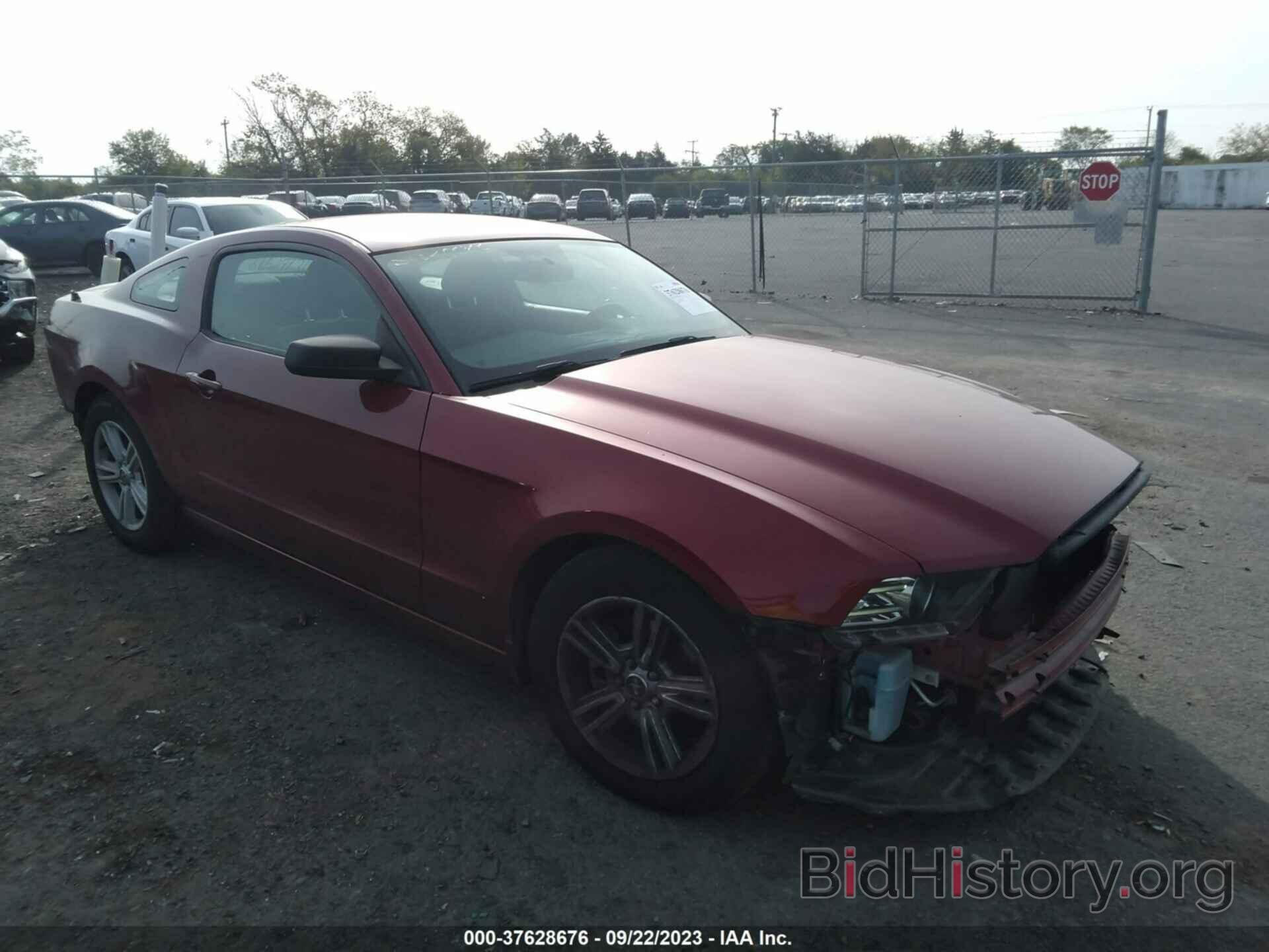 Photo 1ZVBP8AM3E5296093 - FORD MUSTANG 2014