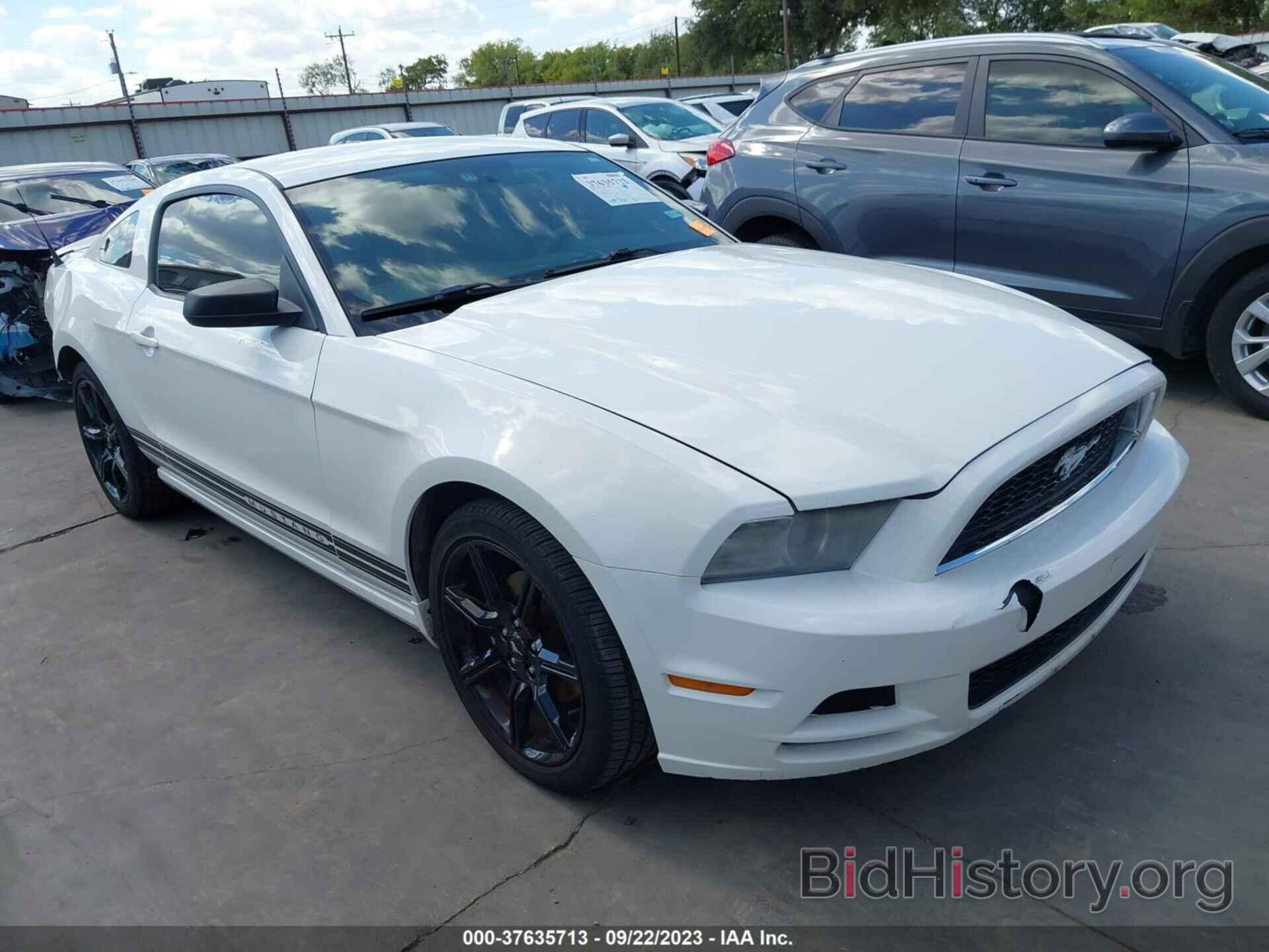 Photo 1ZVBP8AM2D5250561 - FORD MUSTANG 2013