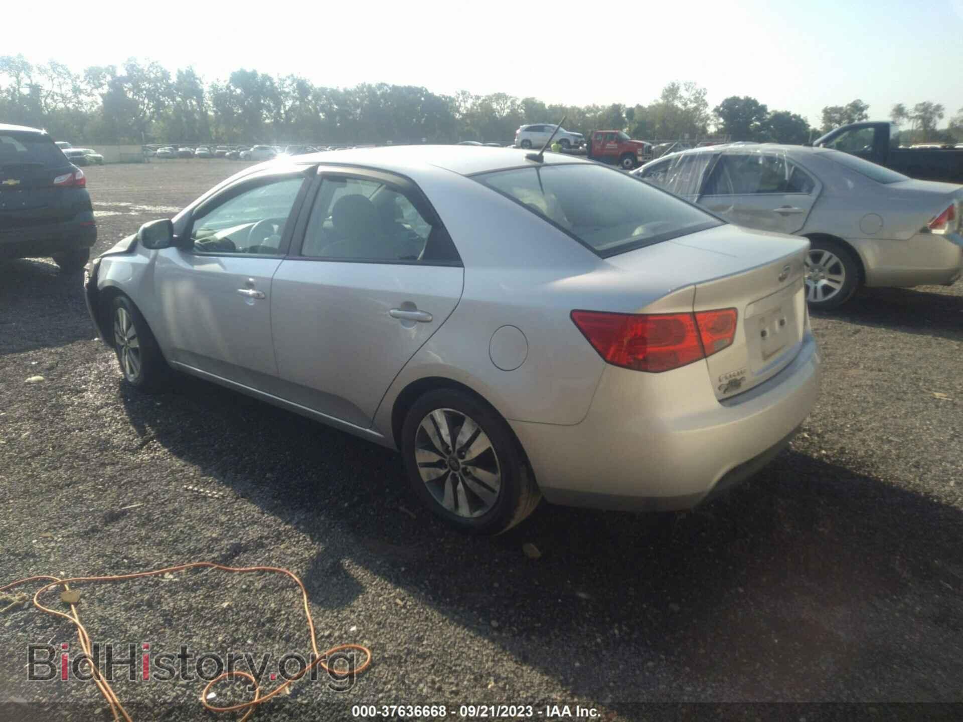 2013 KIA FORTE - VIN: KNAFU4A21D5716112 - Фото 3