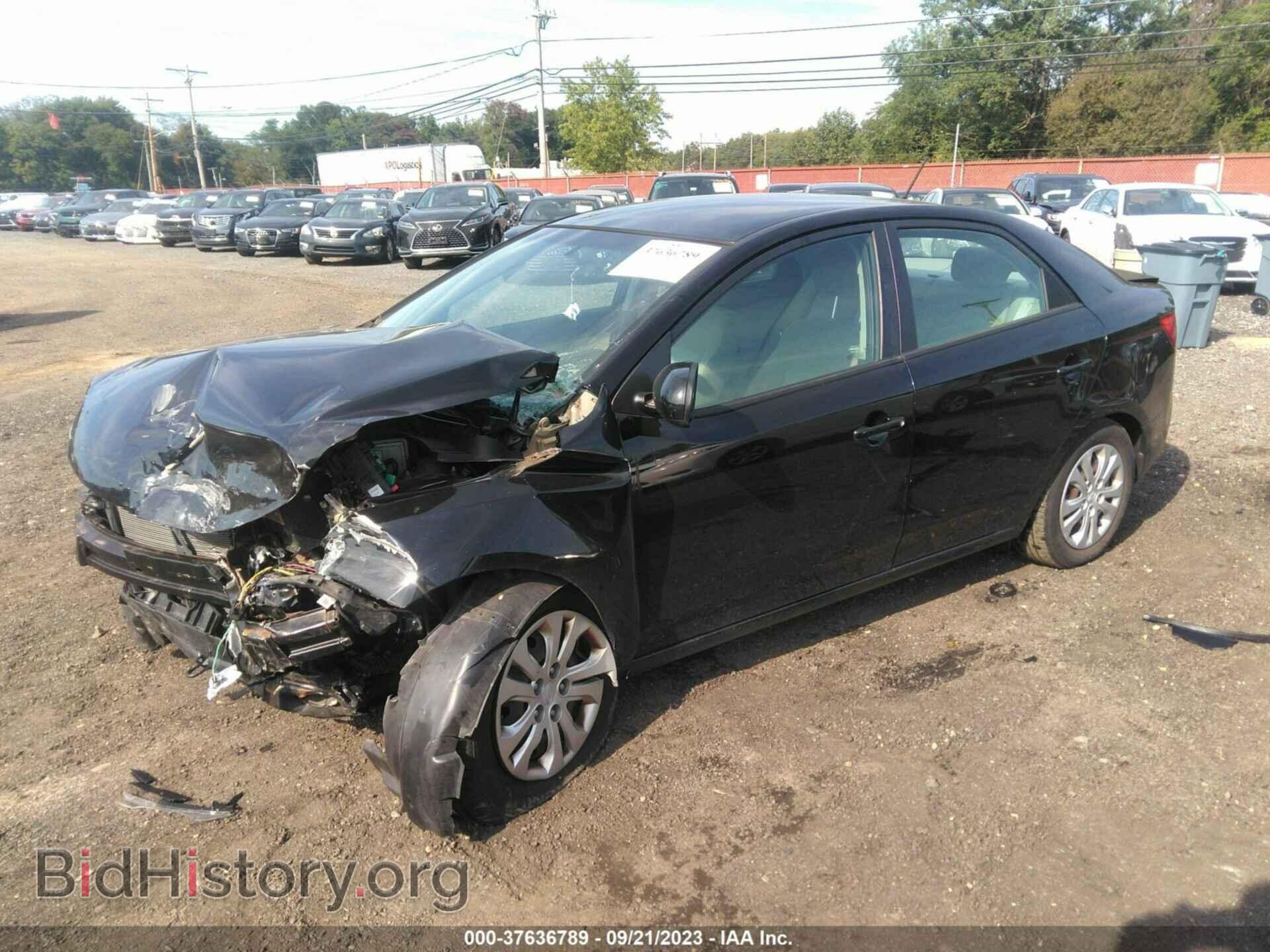2013 KIA FORTE - VIN: KNAFT4A23D5674626 - Фото 2