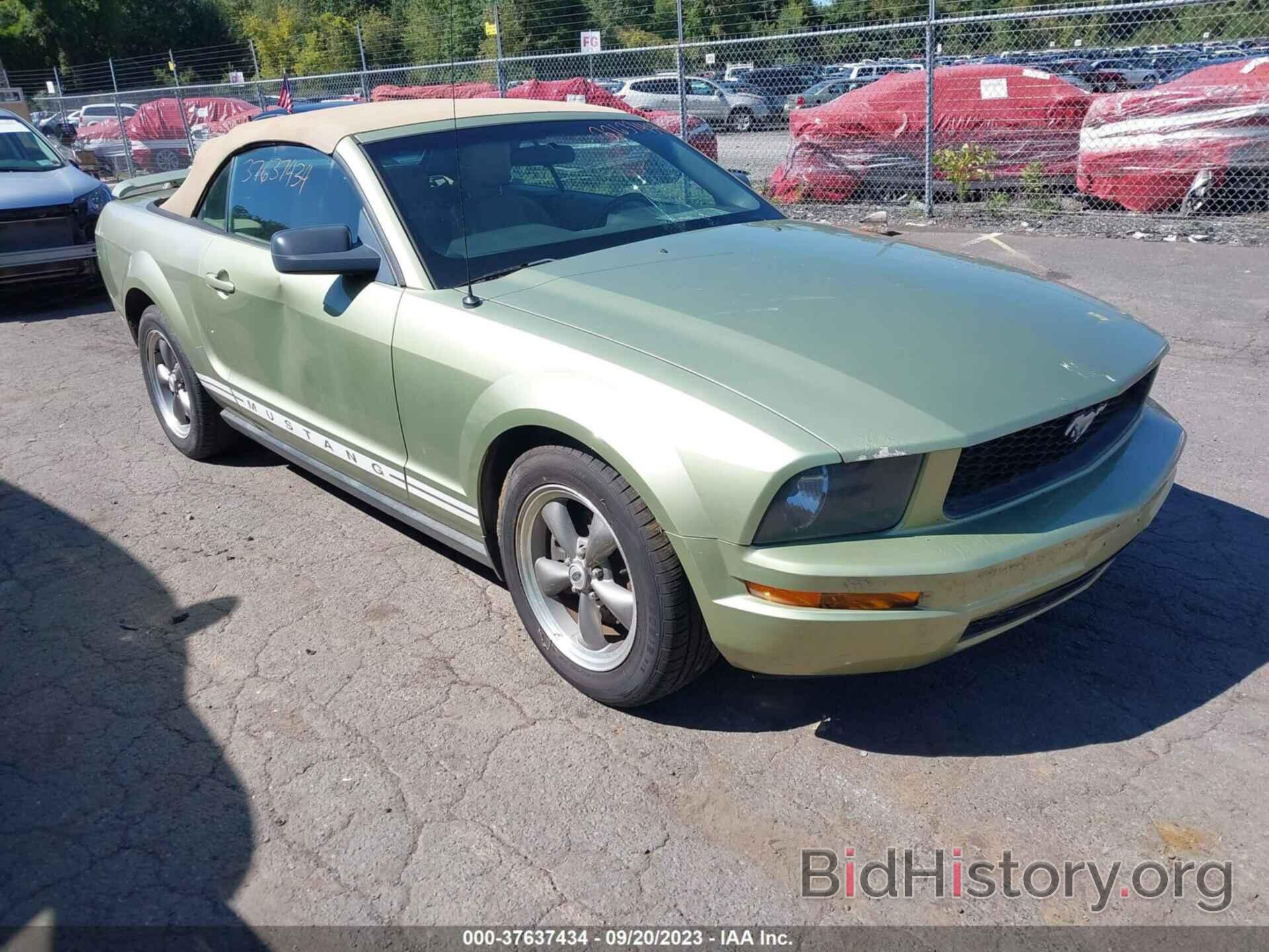 Photo 1ZVFT84N665213629 - FORD MUSTANG 2006