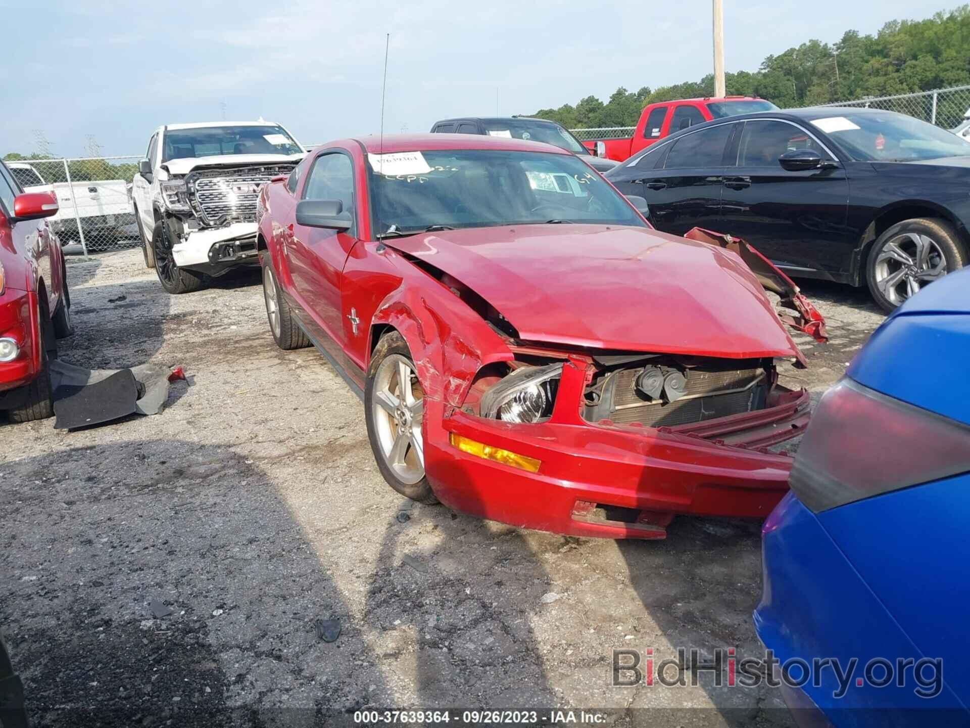 Photo 1ZVHT8ON285119149 - FORD MUSTANG 2008