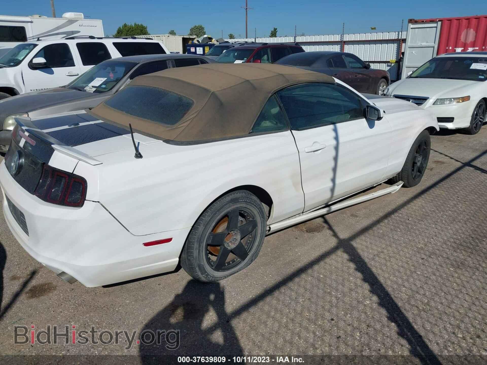 2013 FORD MUSTANG - VIN: 1ZVBP8EM5D5229309 - Фото 4