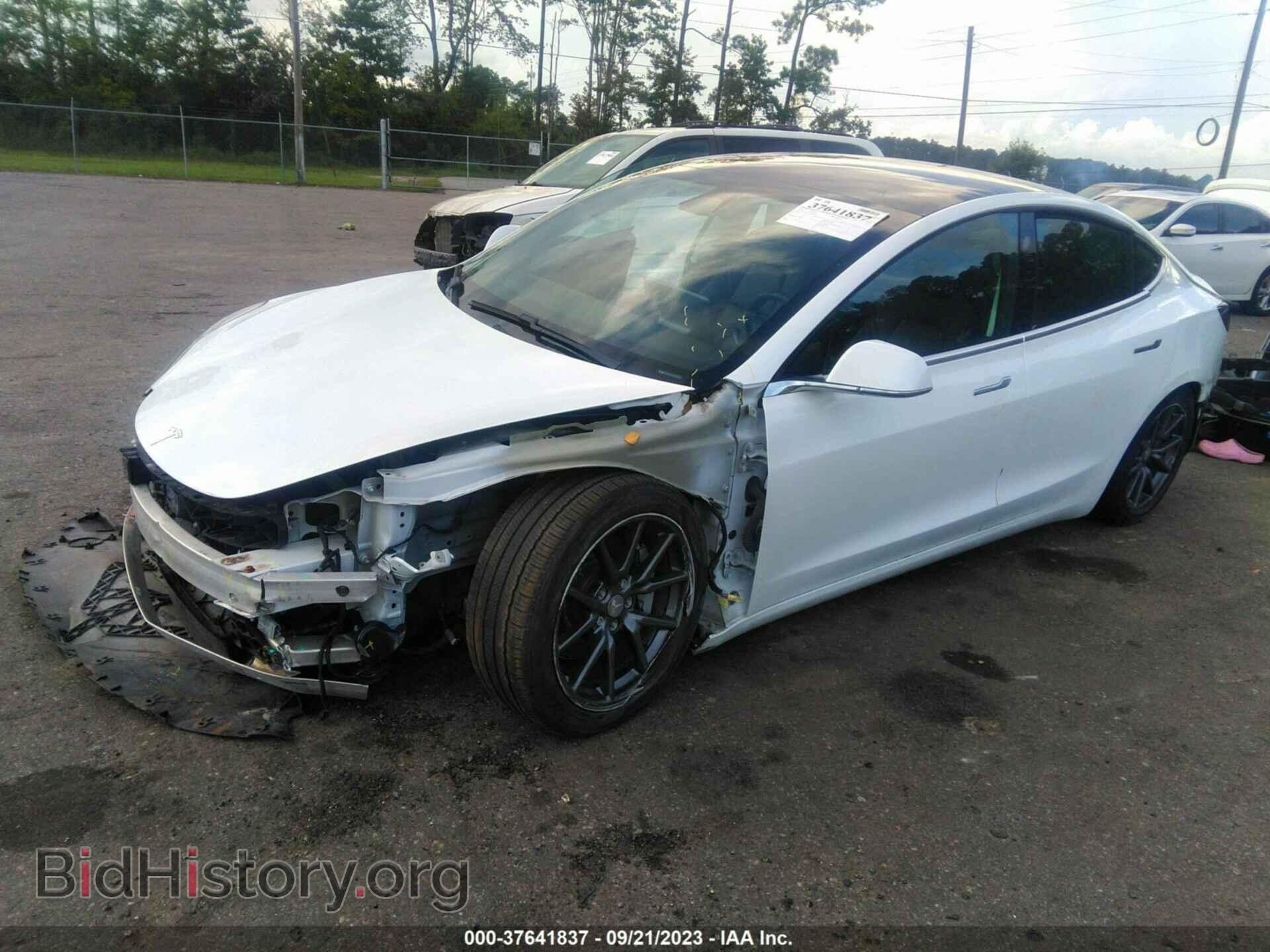 2019 TESLA MODEL 3 - VIN: 5YJ3E1EA0KF424806 - Фото 2