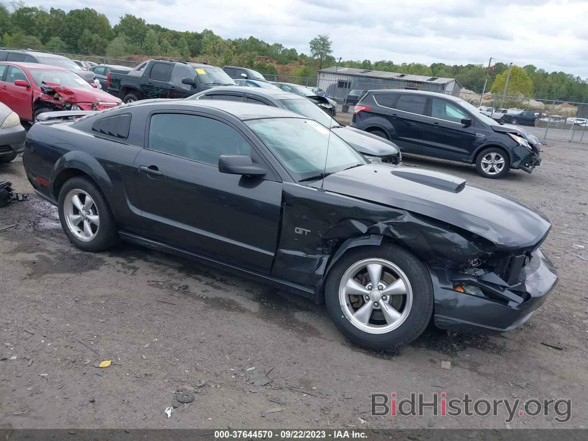 Photo 1ZVHT82H785131269 - FORD MUSTANG 2008