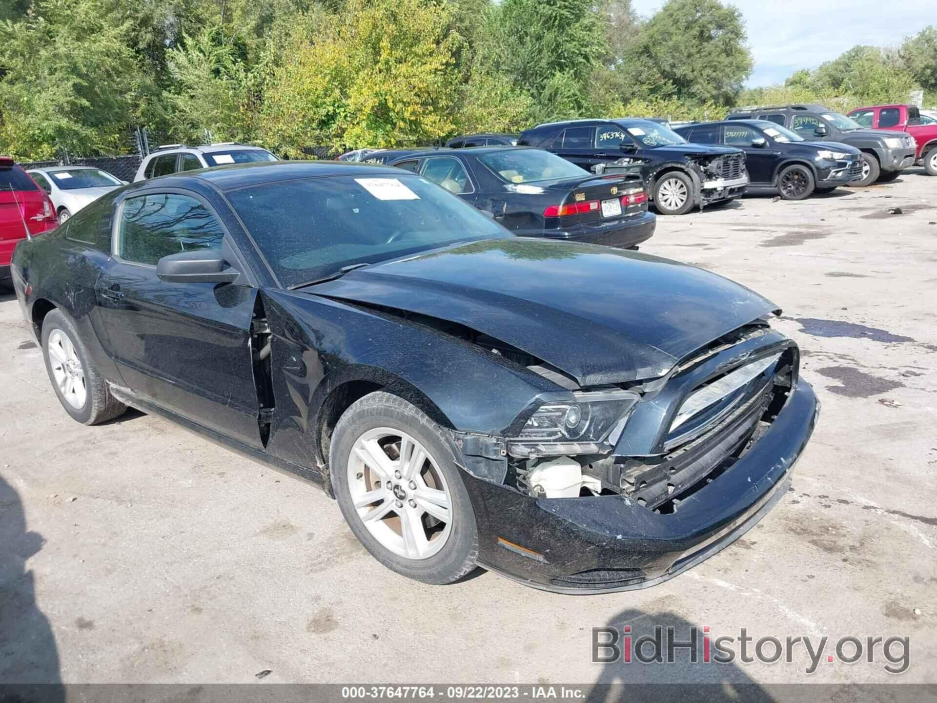 Photo 1ZVBP8AM6E5204653 - FORD MUSTANG 2014