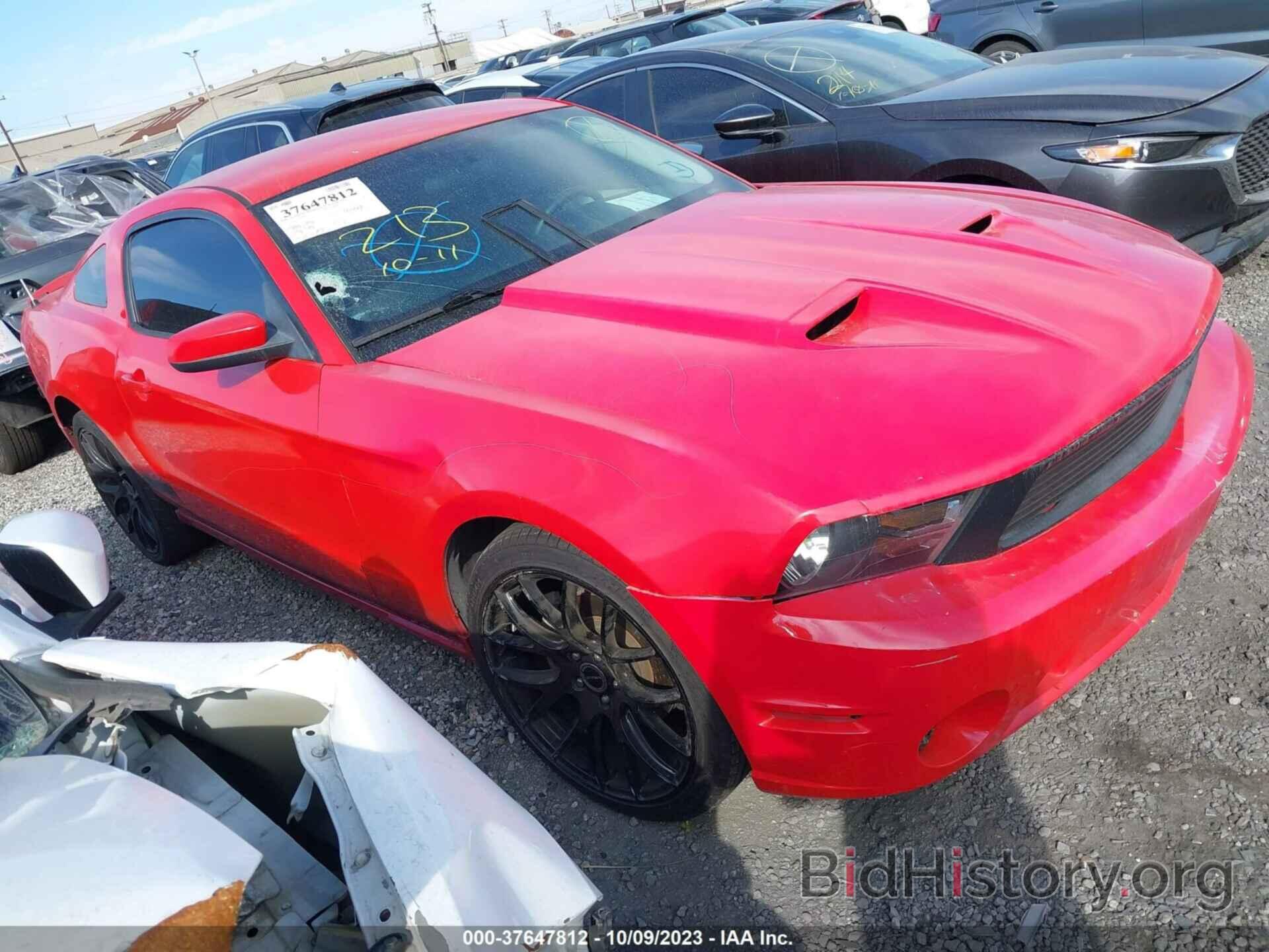 Photo 1ZVBP8CH4A5132331 - FORD MUSTANG 2010
