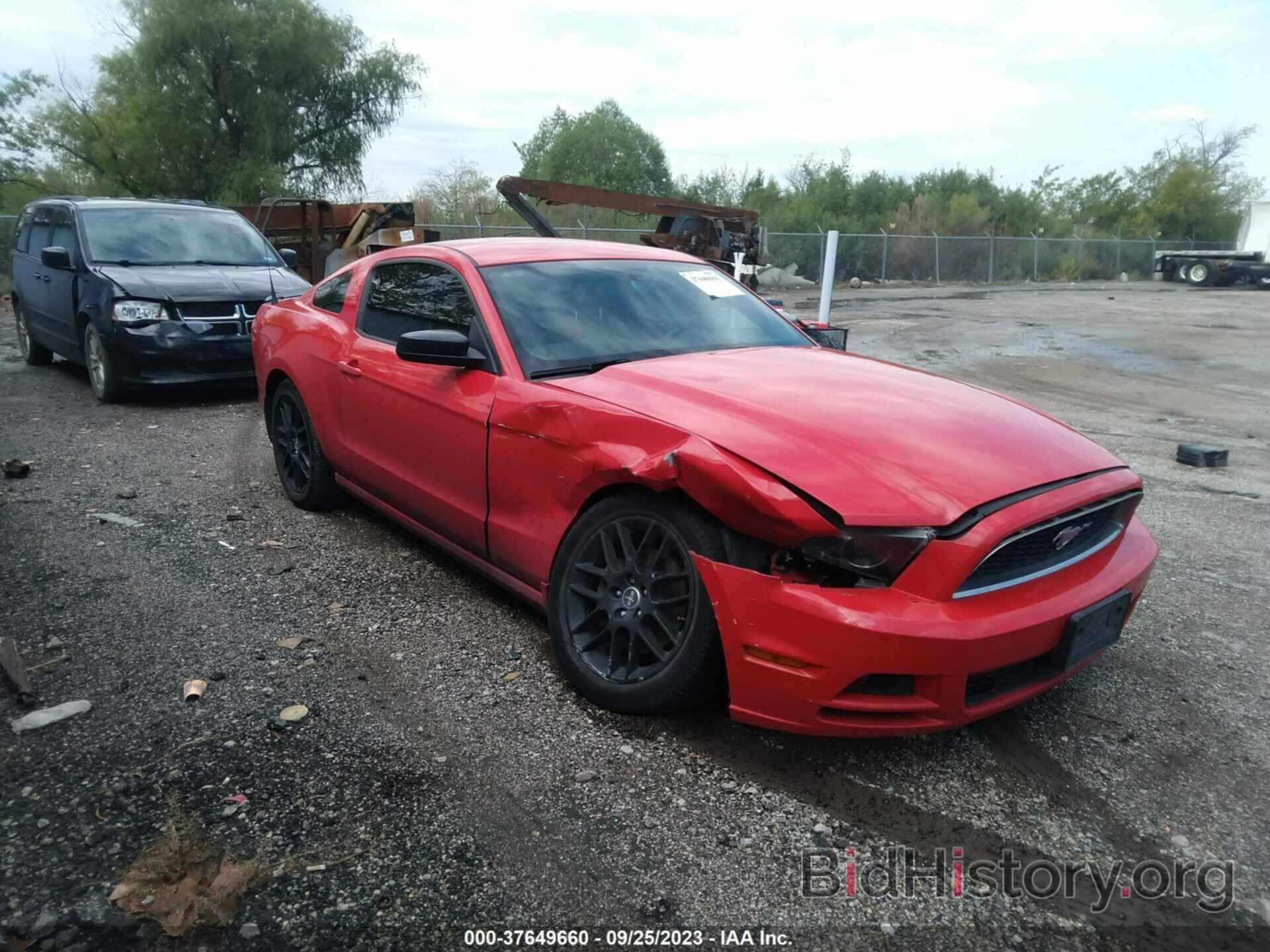 Photo 1ZVBP8AM8E5306049 - FORD MUSTANG 2014